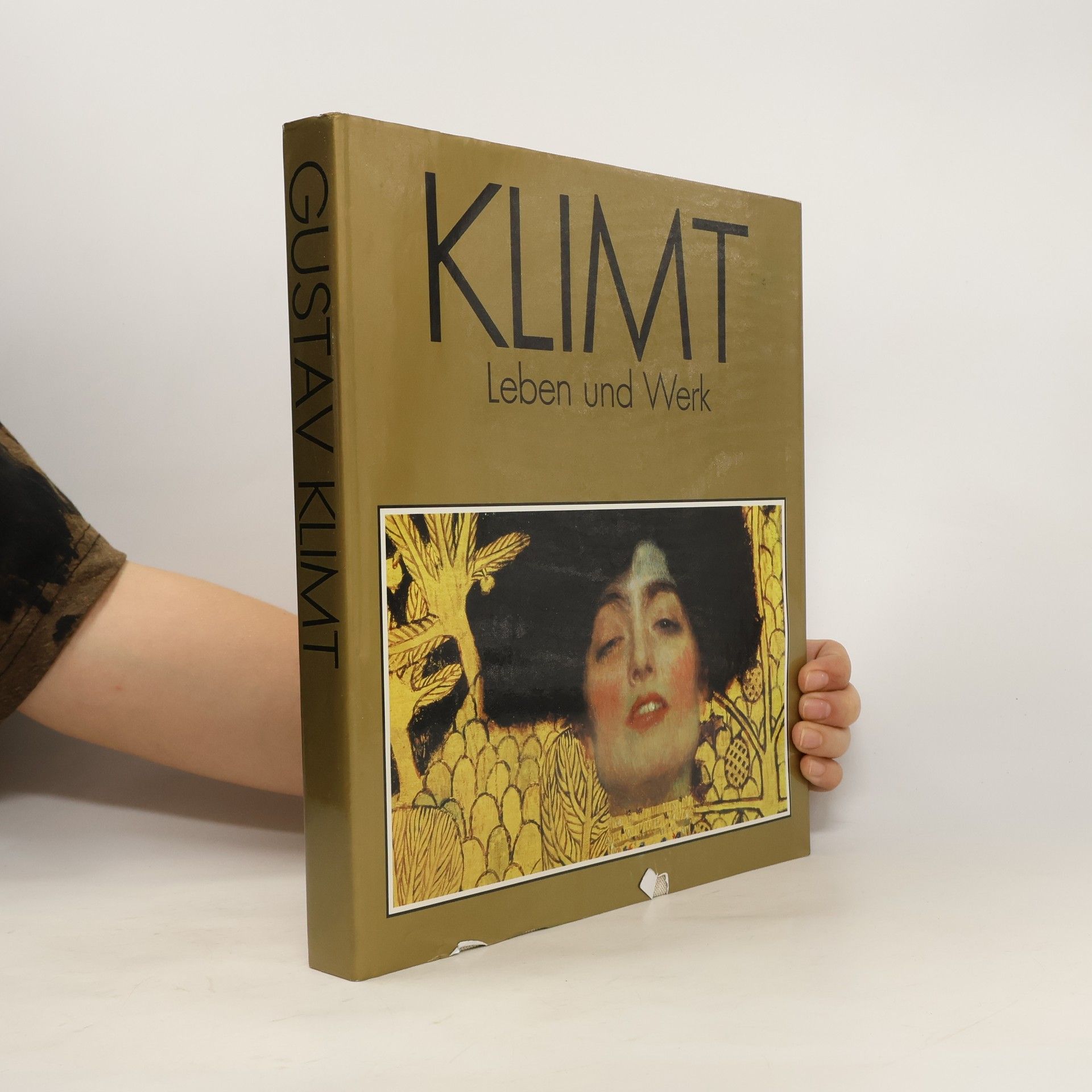 Gustav Klimt Klimt. Leben und Werk