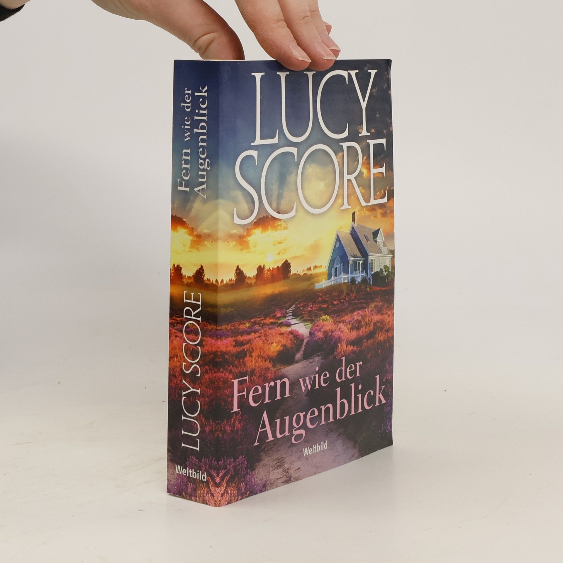 Lucy Score Fern wie der Augenblick