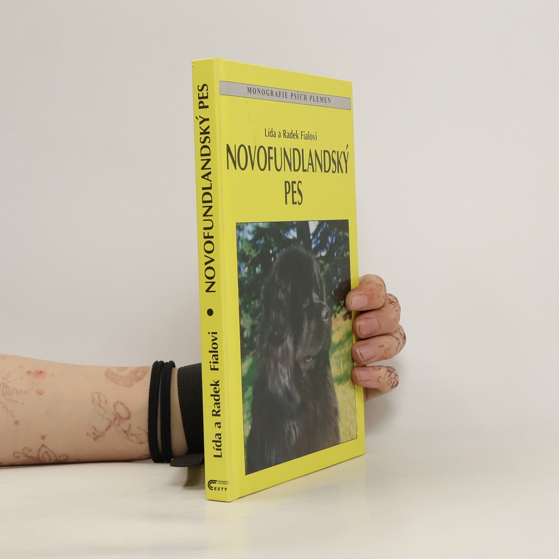 Radek Fiala Novofundlandský pes
