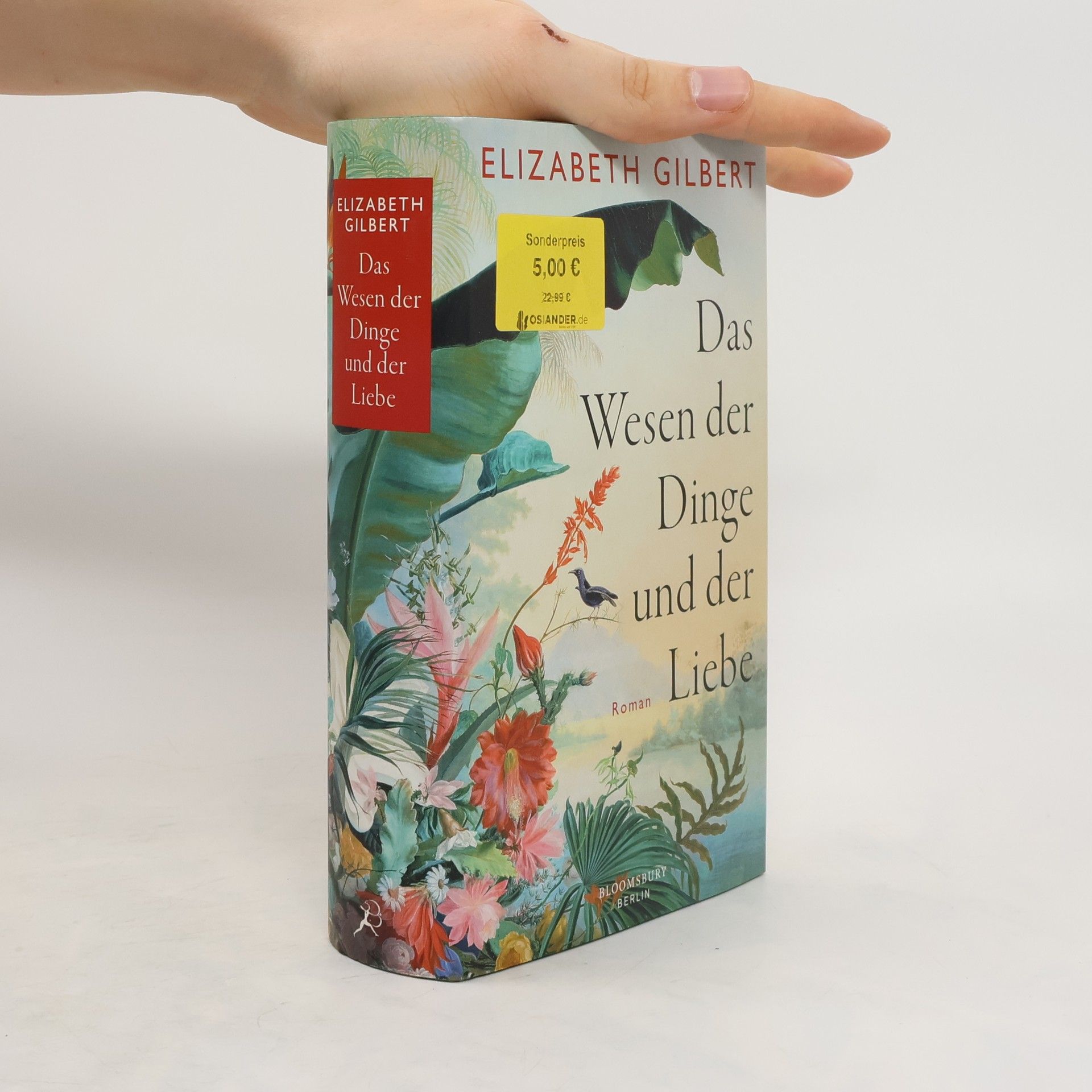 Elizabeth Gilbert Das Wesen der Dinge und der Liebe
