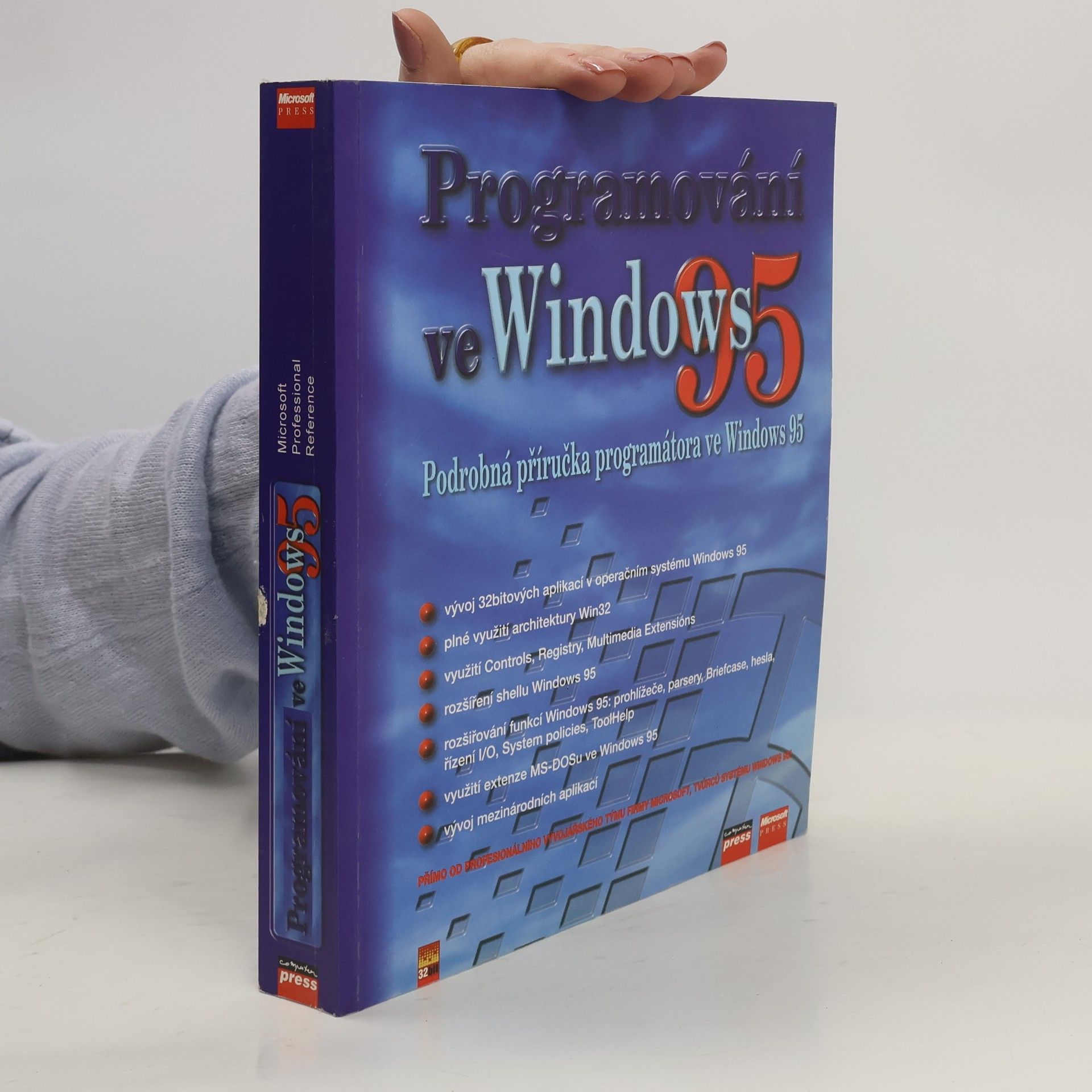 Autorenkollektiv Programování ve Windows 95