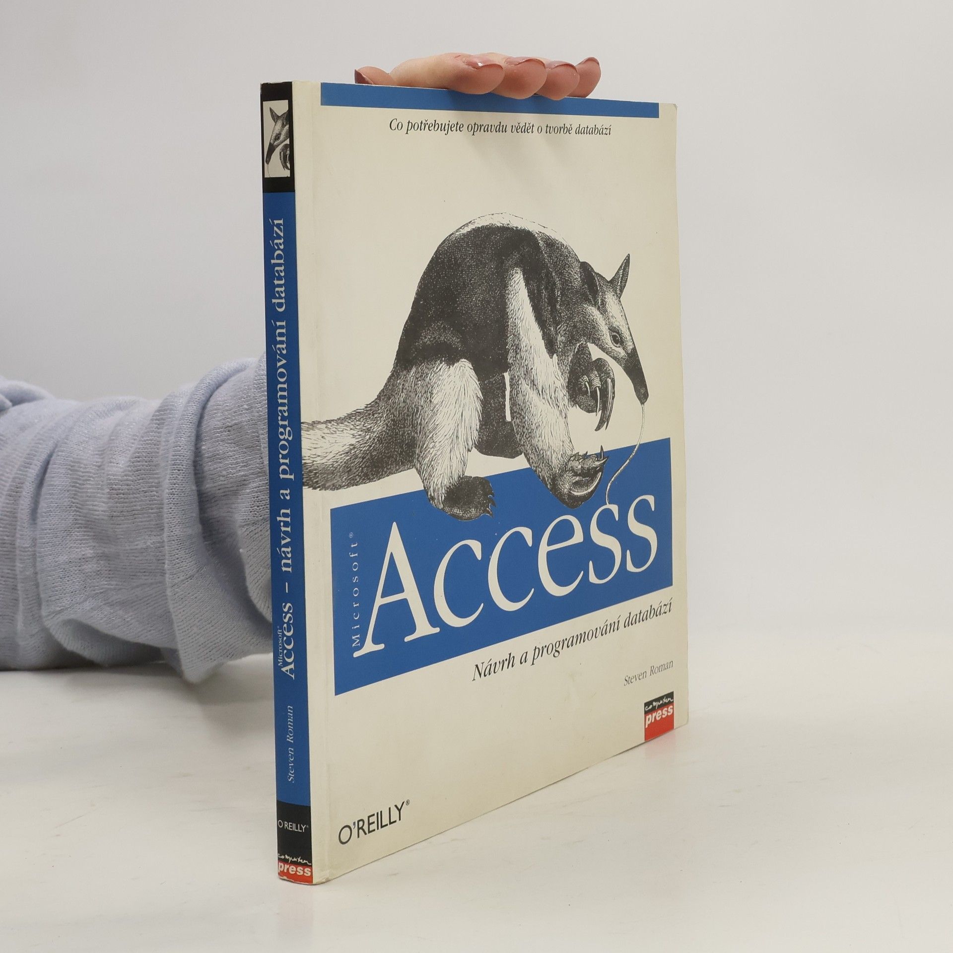Steven Roman Microsoft Access : návrh a programování databází