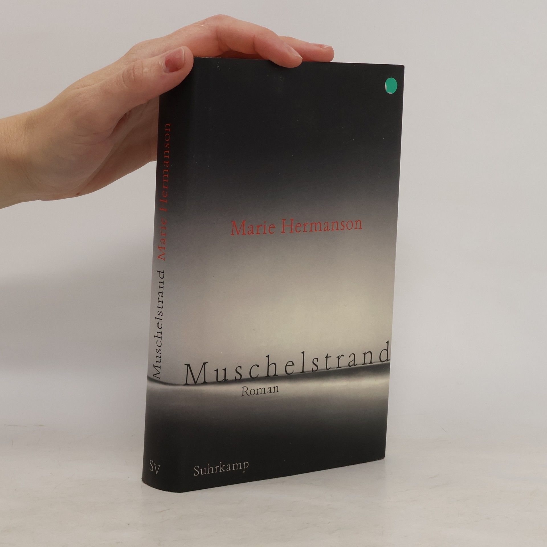 Marie Hermanson Muschelstrand