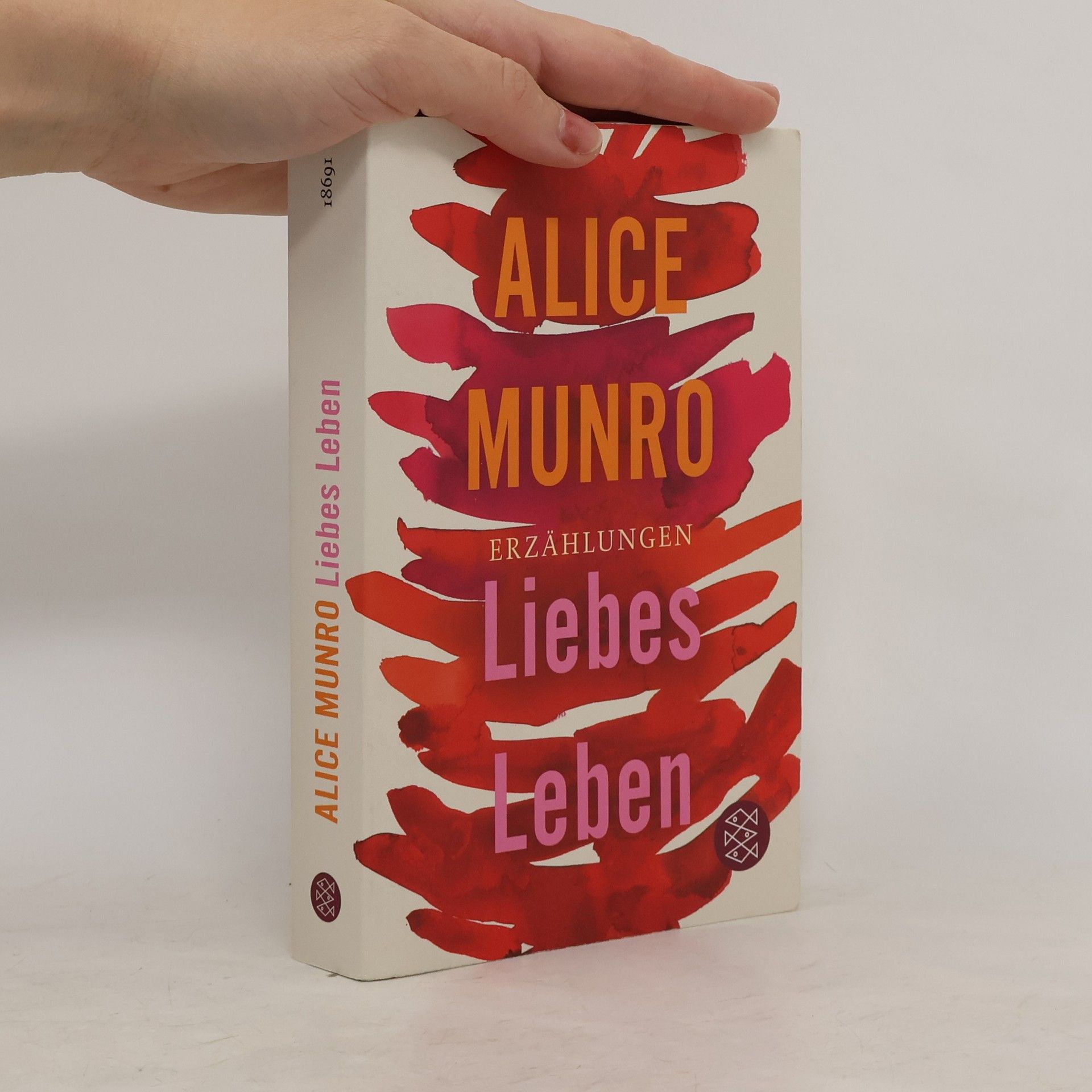 Alice Munro Liebes Leben