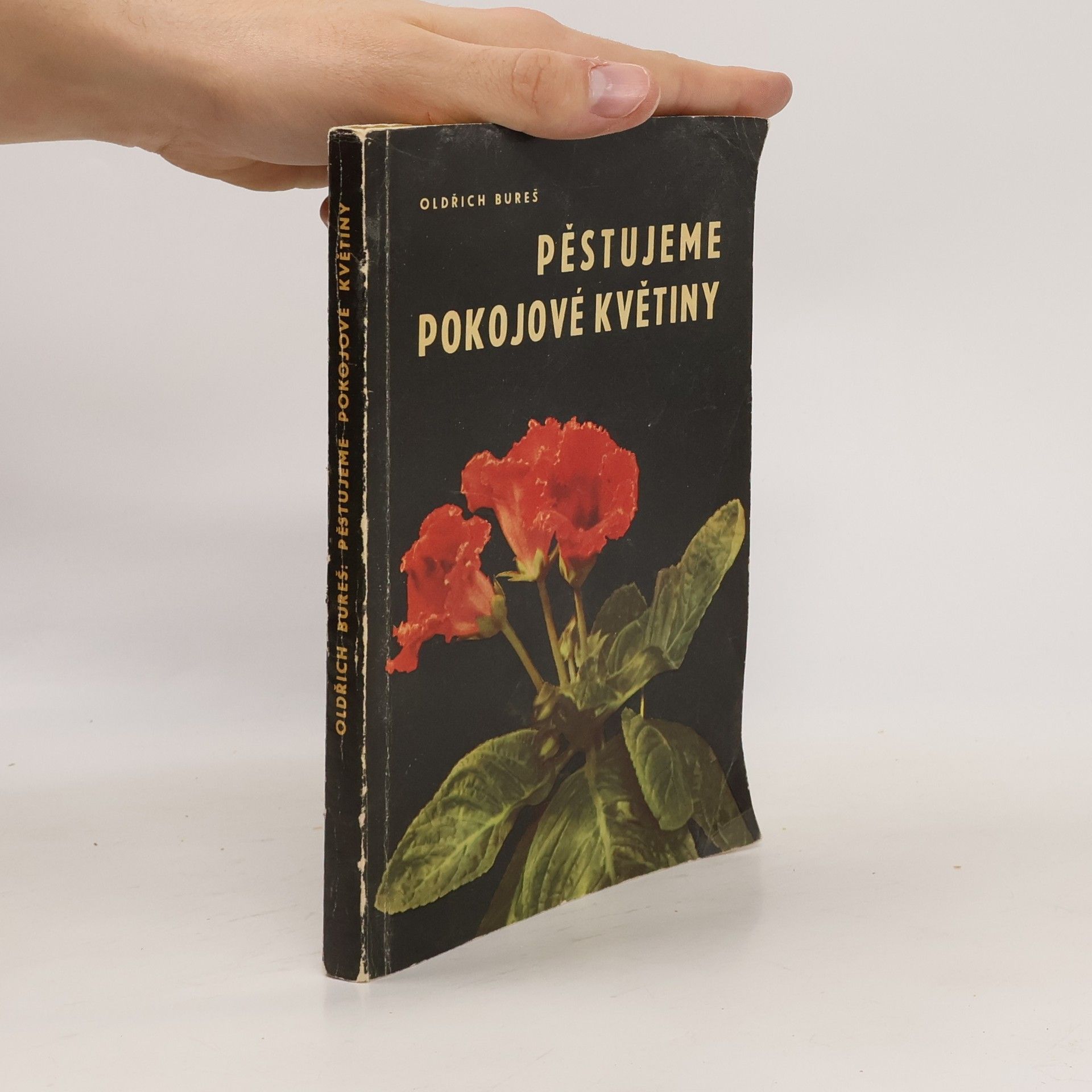 Oldřich Bureš Pěstujeme pokojové květiny