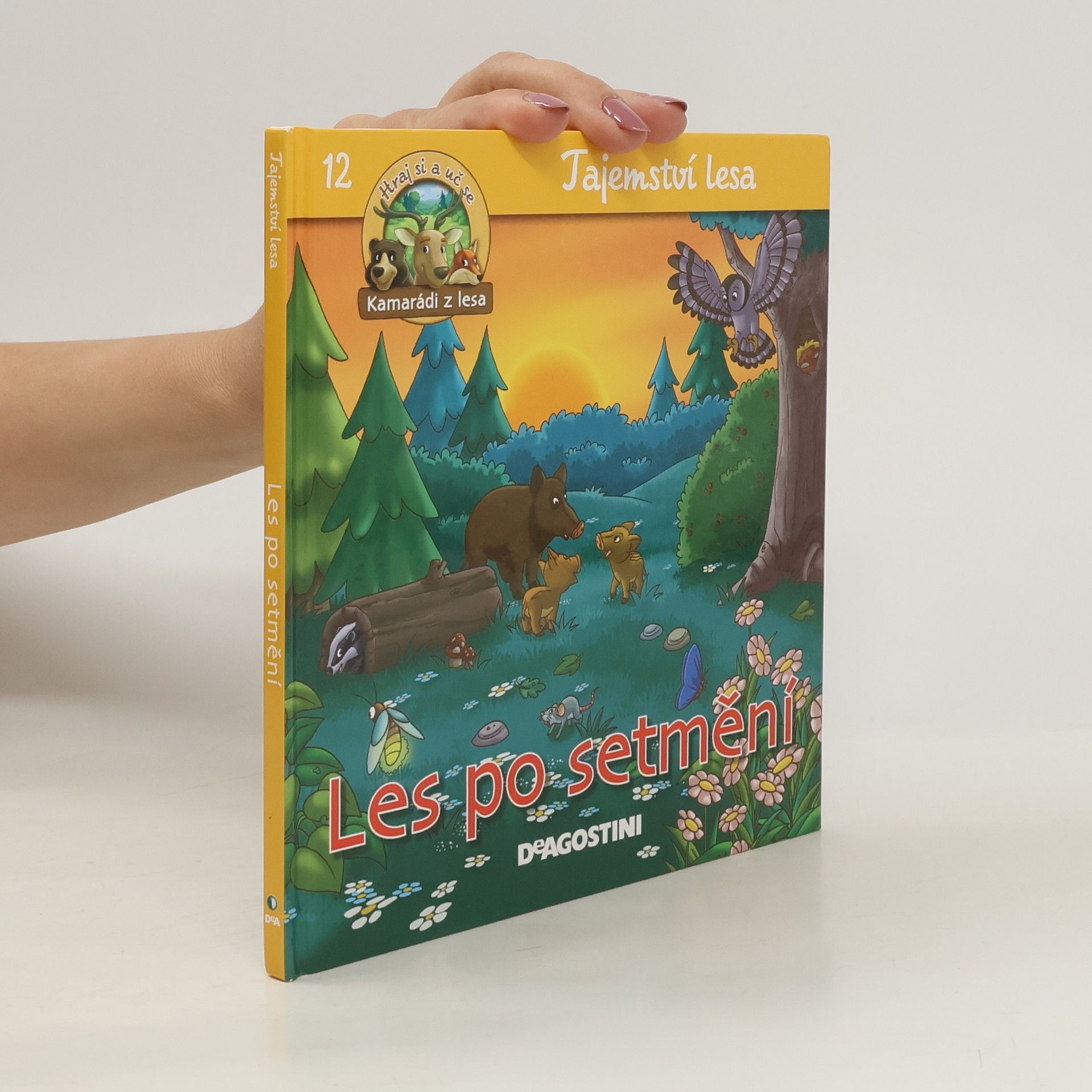 kolektiv Tajemství lesa 12. Les po setmění