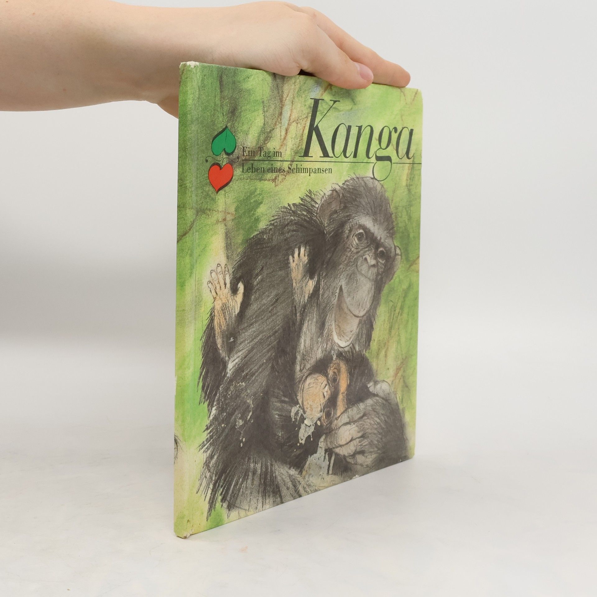 Collectif d'auteurs Kanga