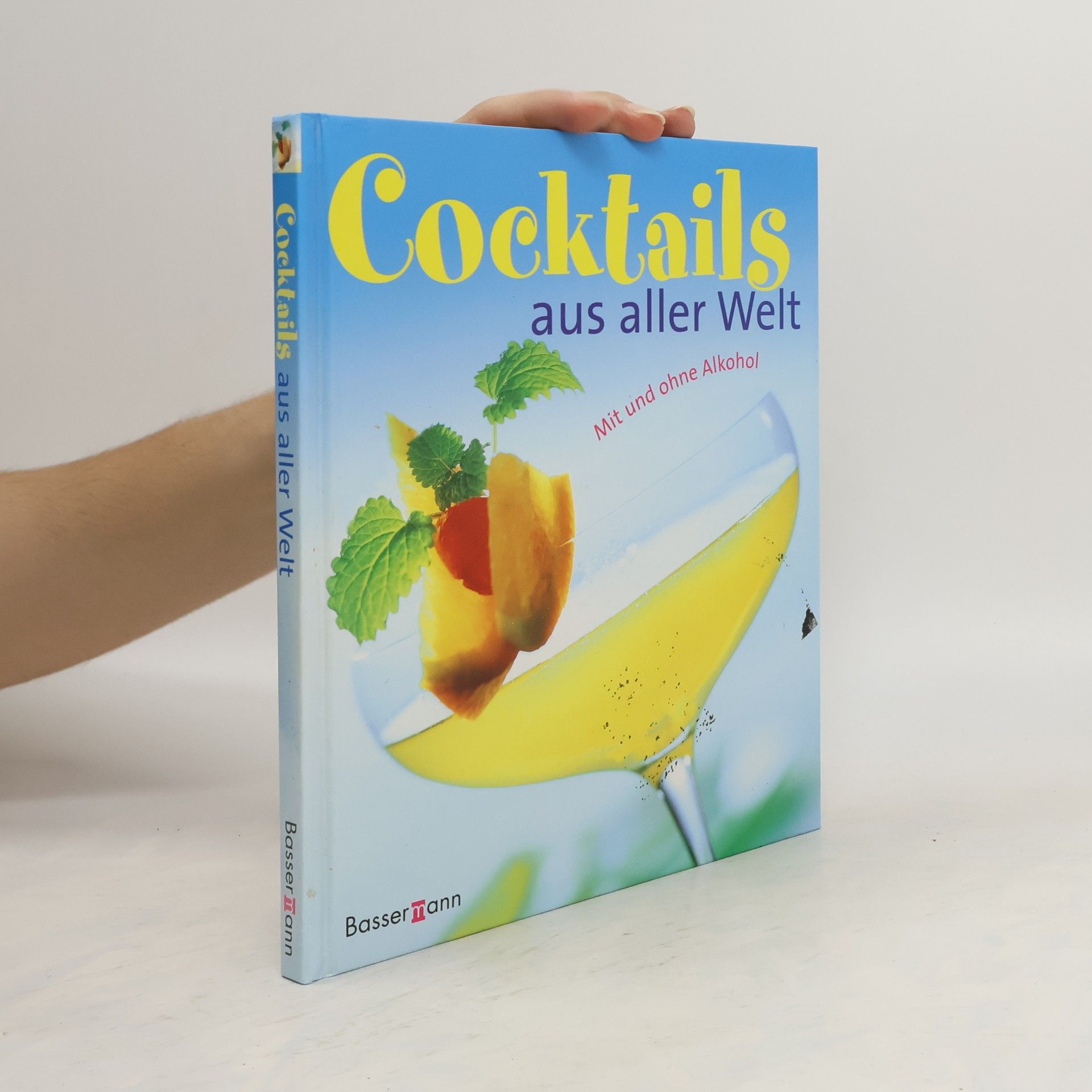 Anja Halveland Cocktails aus aller Welt