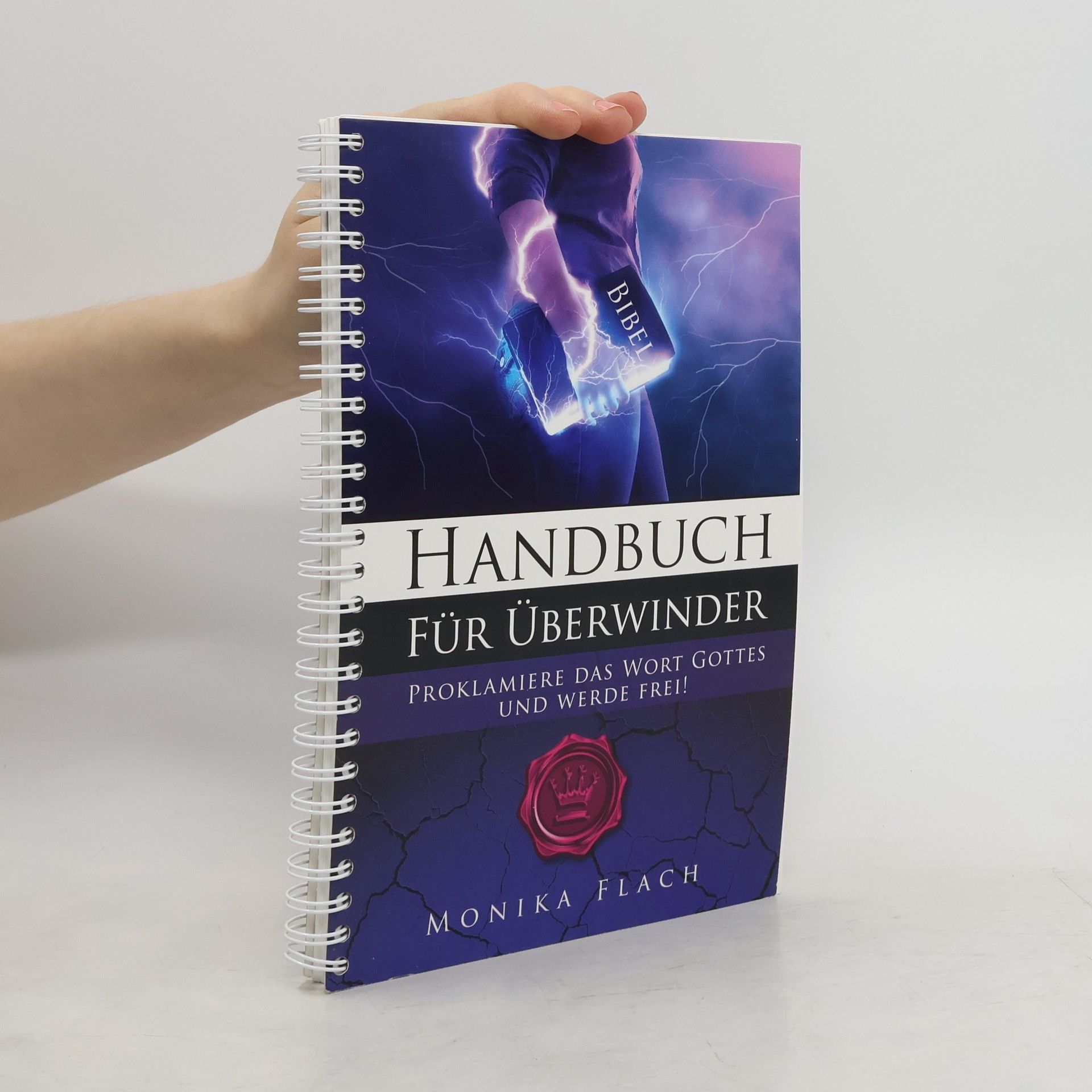 Monika Flach Handbuch für Überwinder