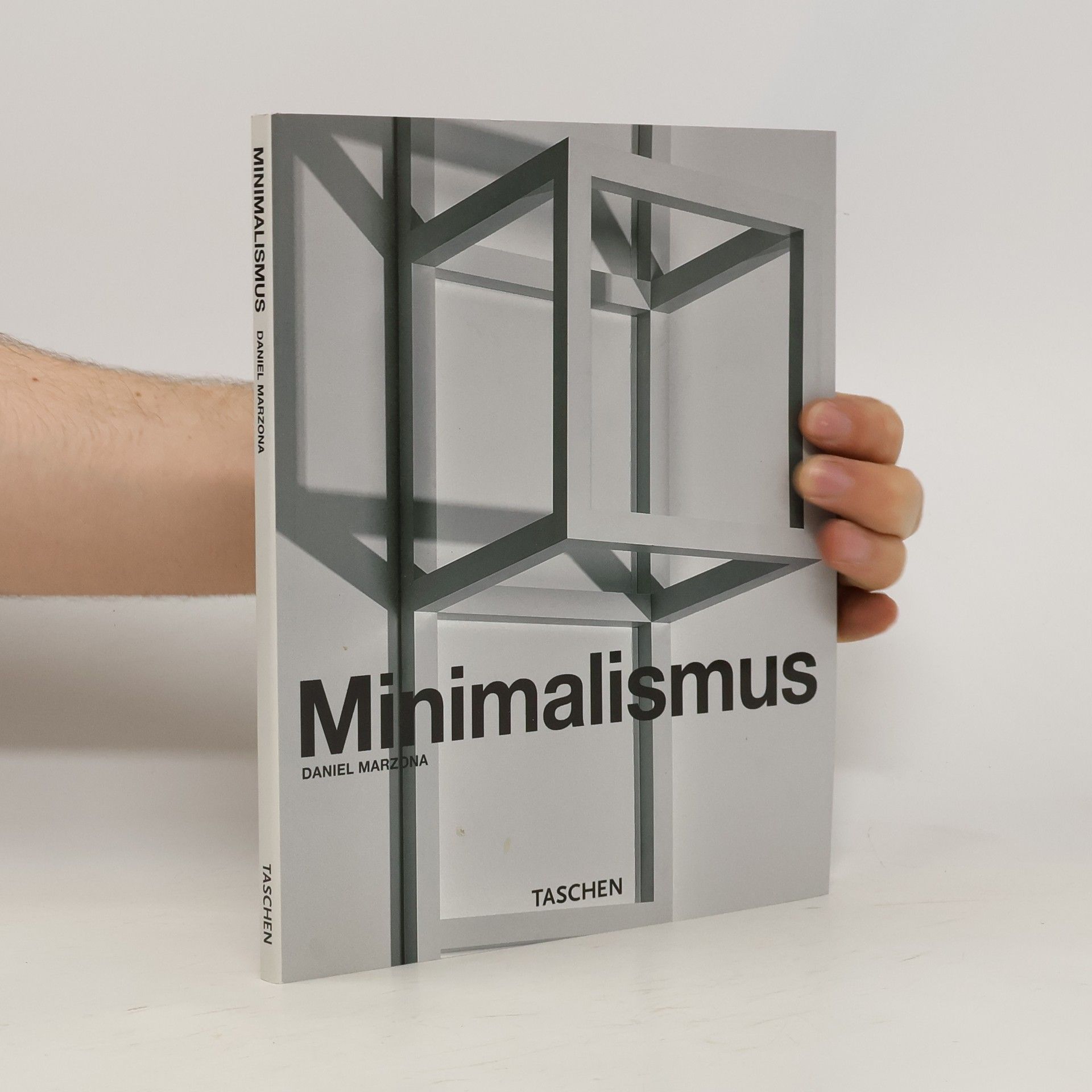 Daniel Marzona Minimalismus