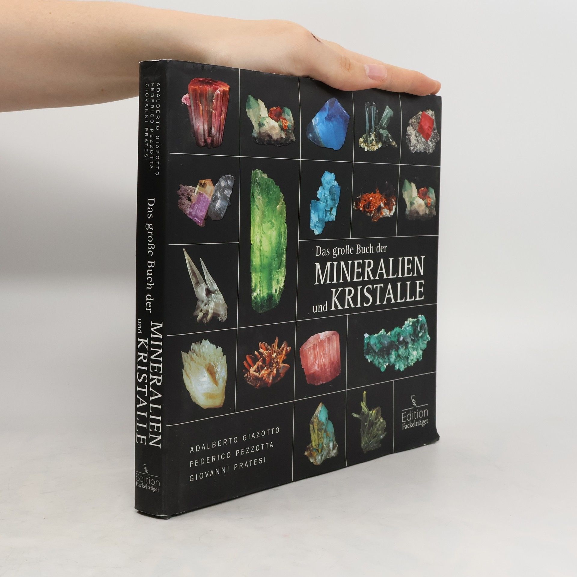 Giovanni Pratesi Das große Buch der Mineralien und Kristalle