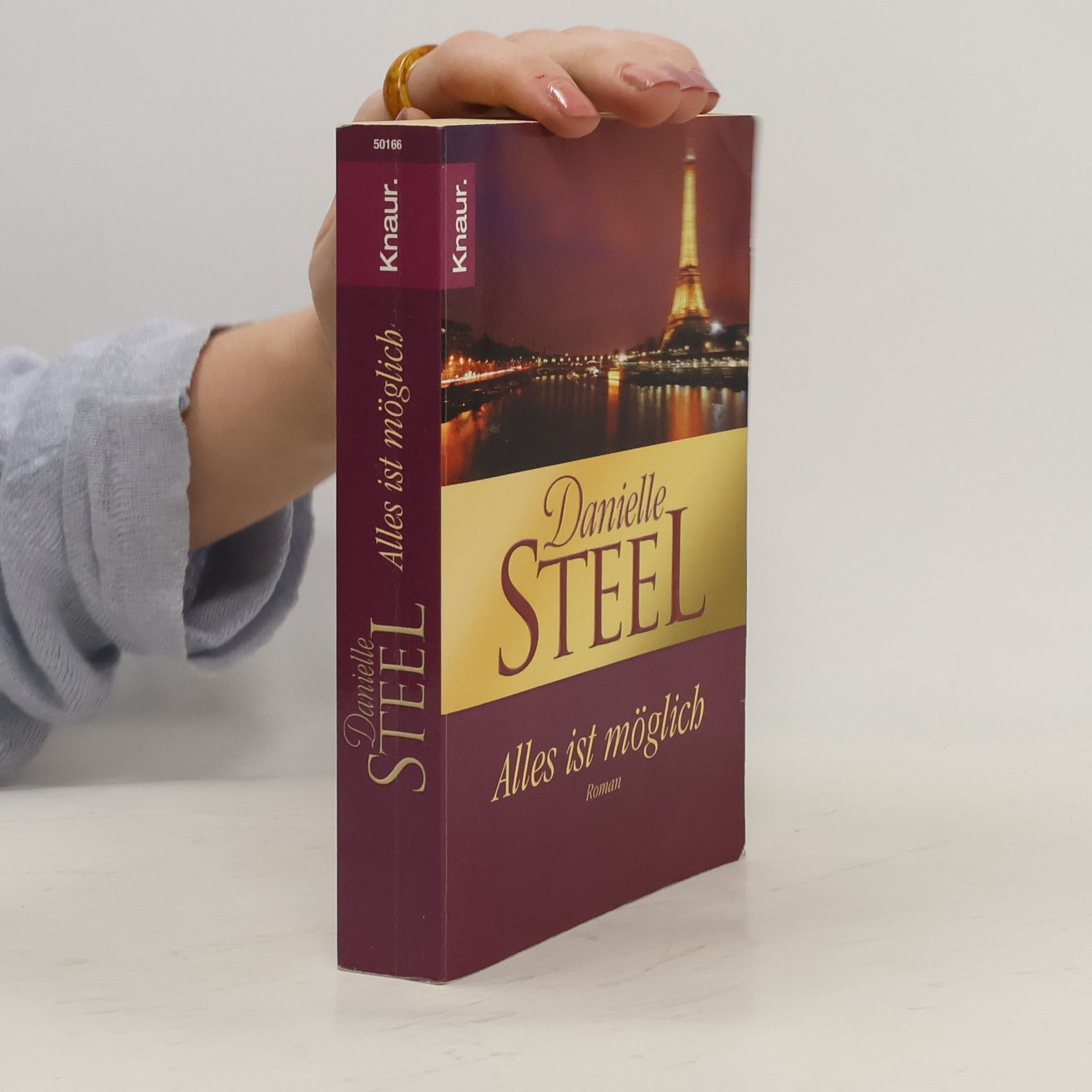 Danielle Steel Alles ist Möglich