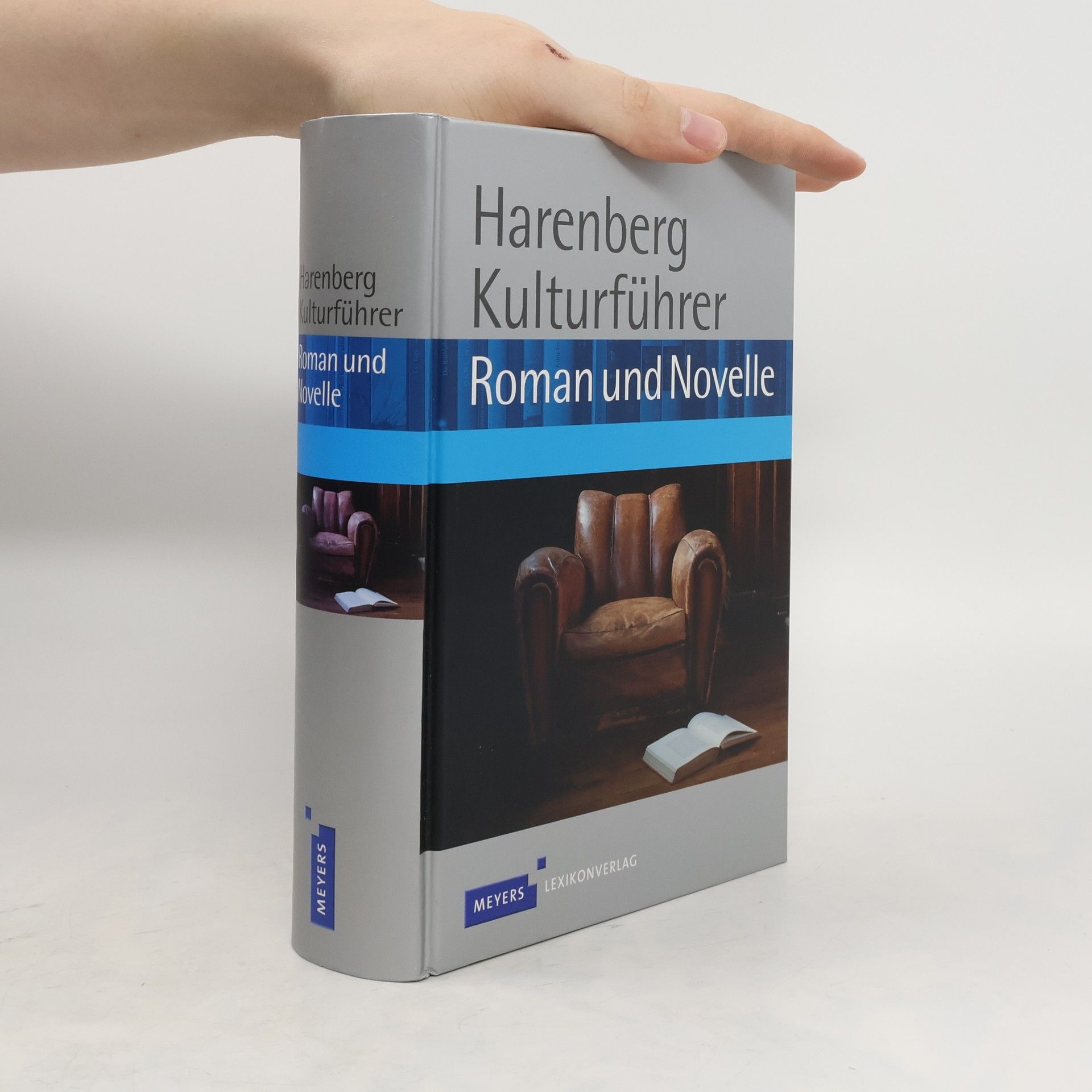Dietmar Falk Harenberg, Kulturführer Roman und Novelle