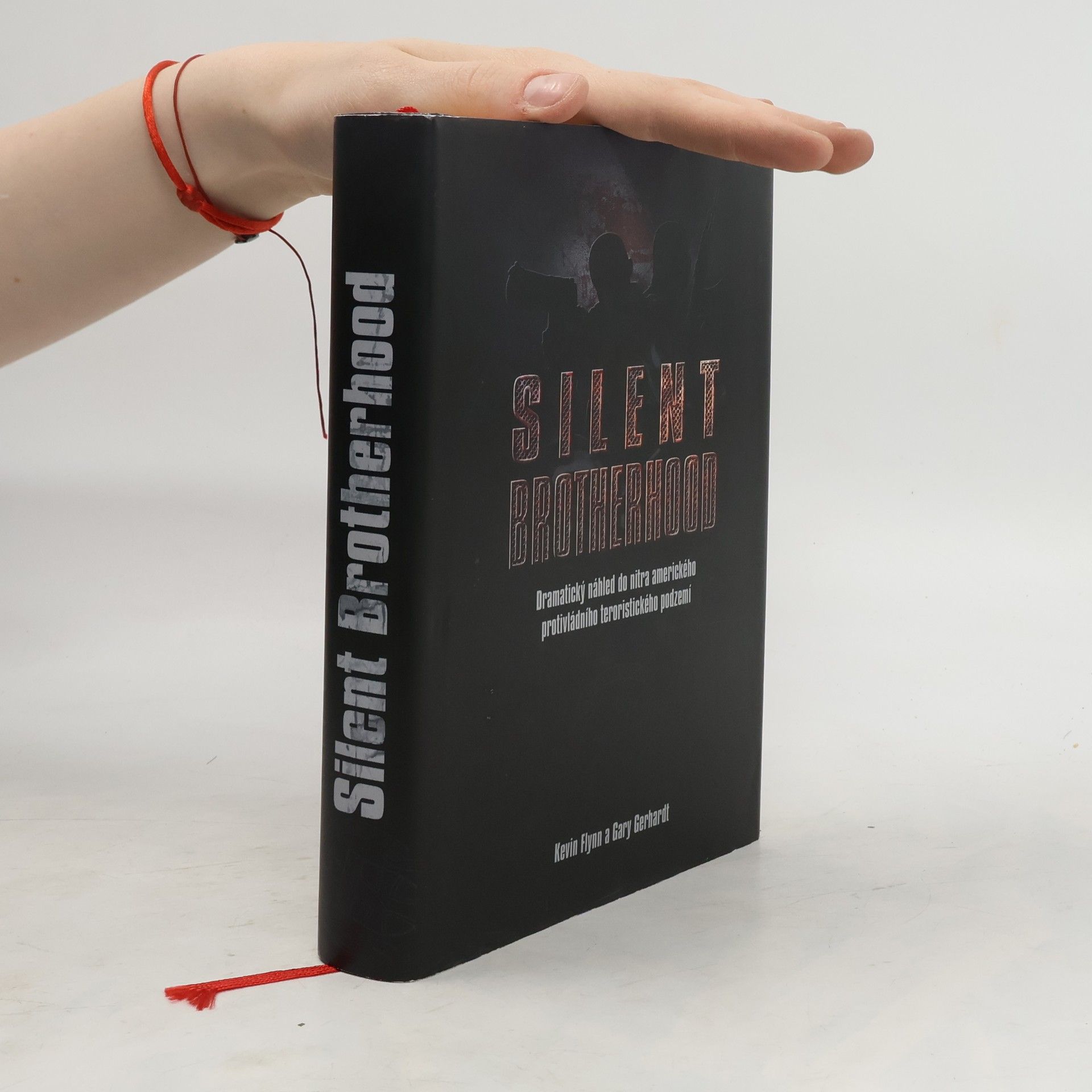 Kevin Flynn Silent Brotherhood