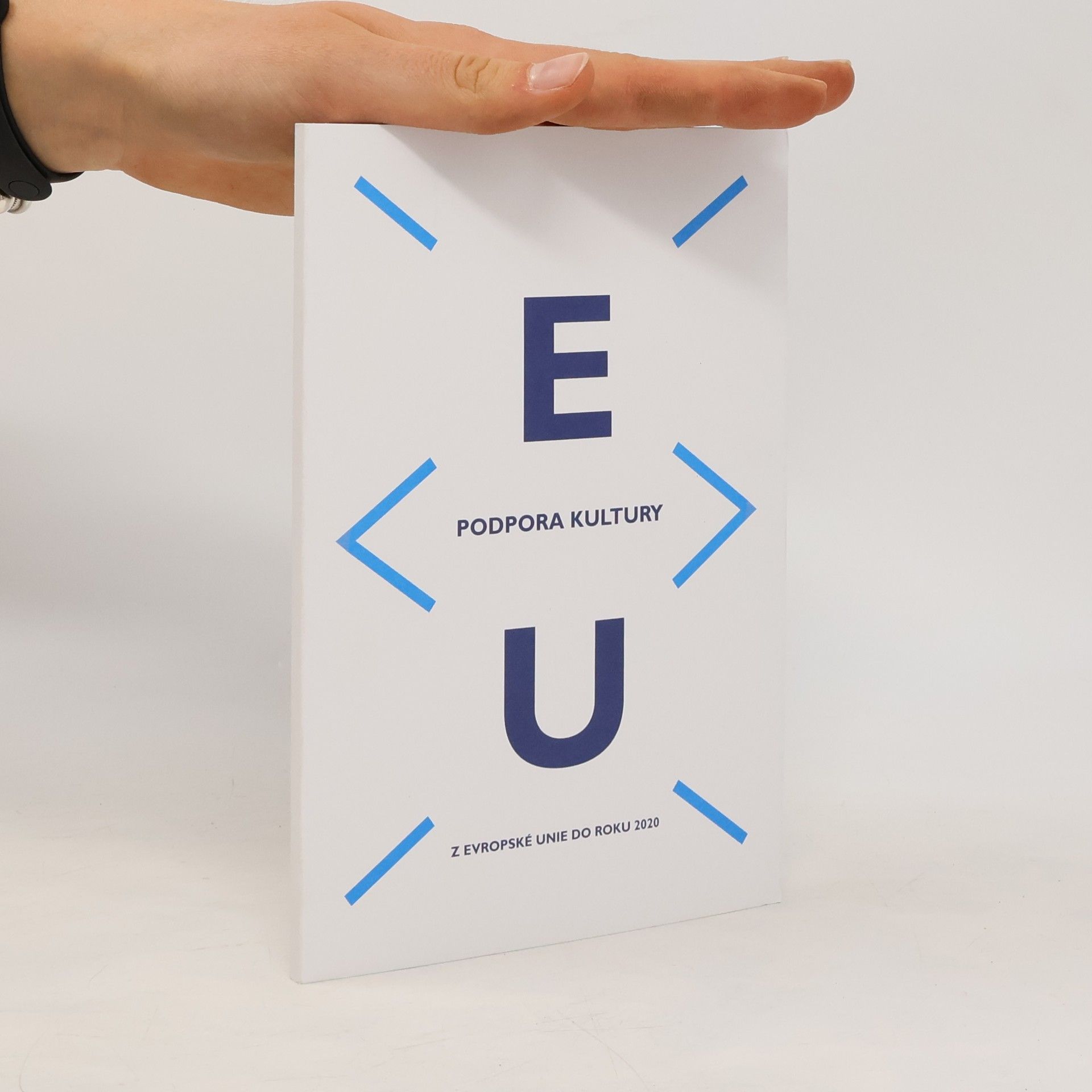 Kolektív autorov Podpora kultury z Evropské unie do roku 2020