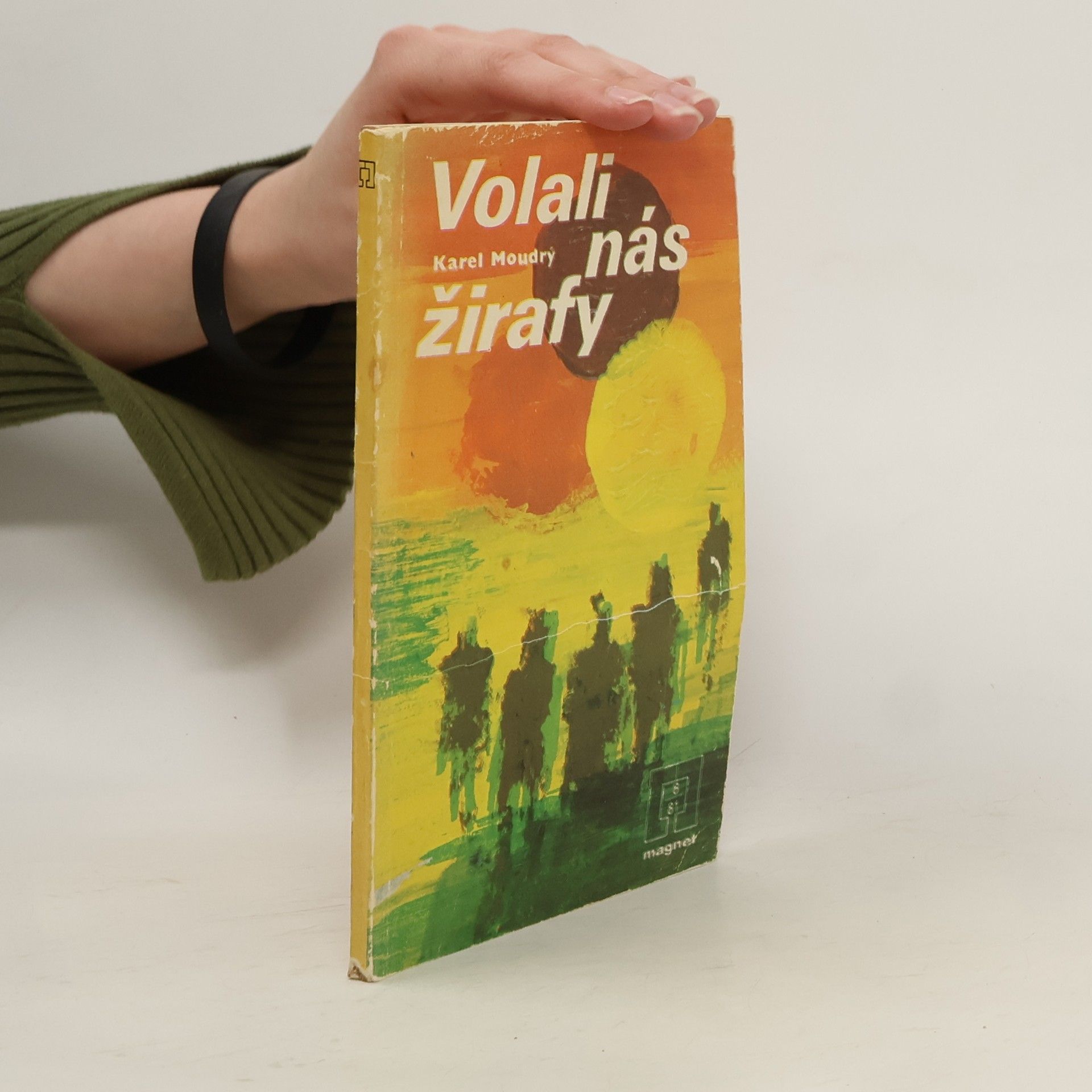 Karel Moudrý Volali nás žirafy