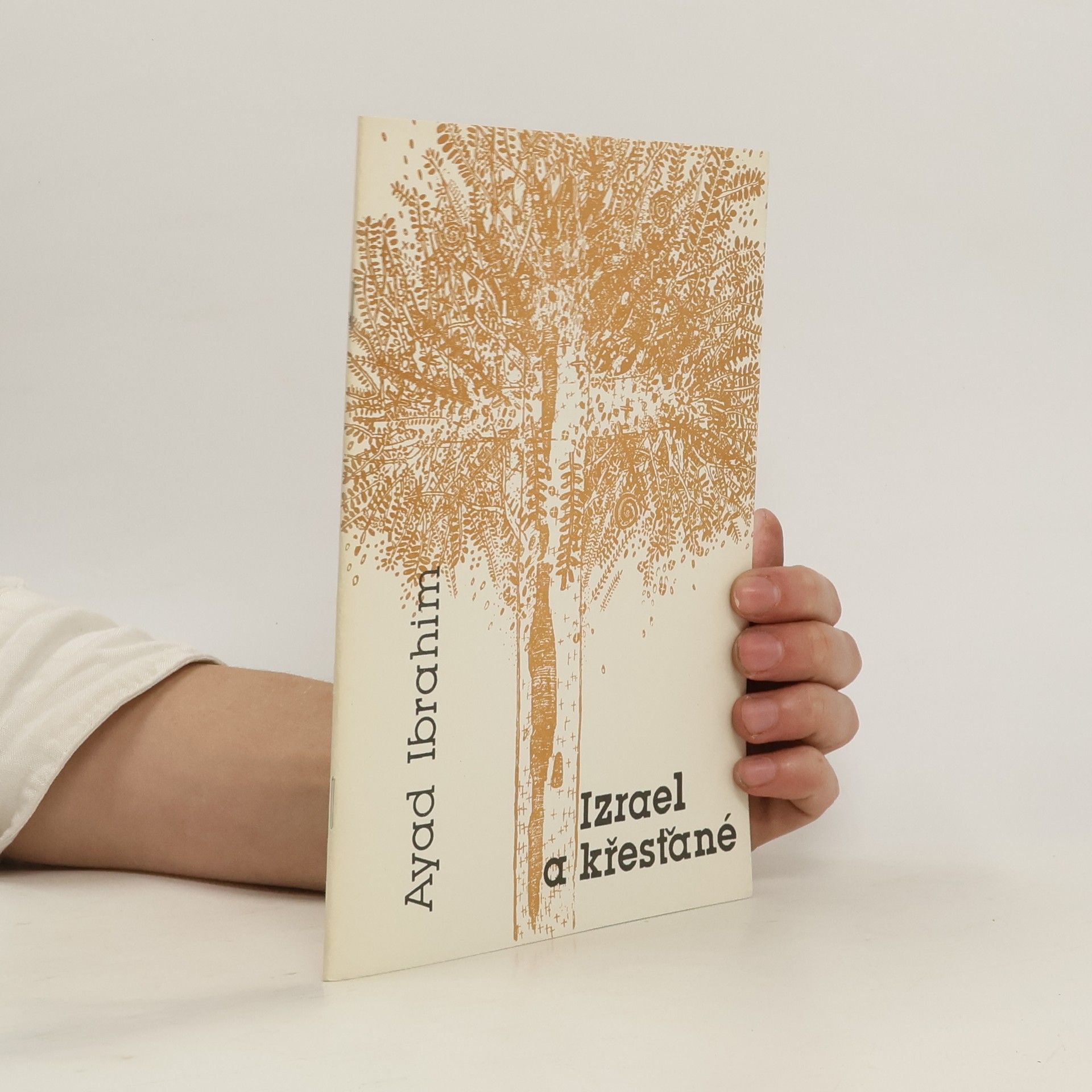 Ibrahim Ayad Izrael a křesťané