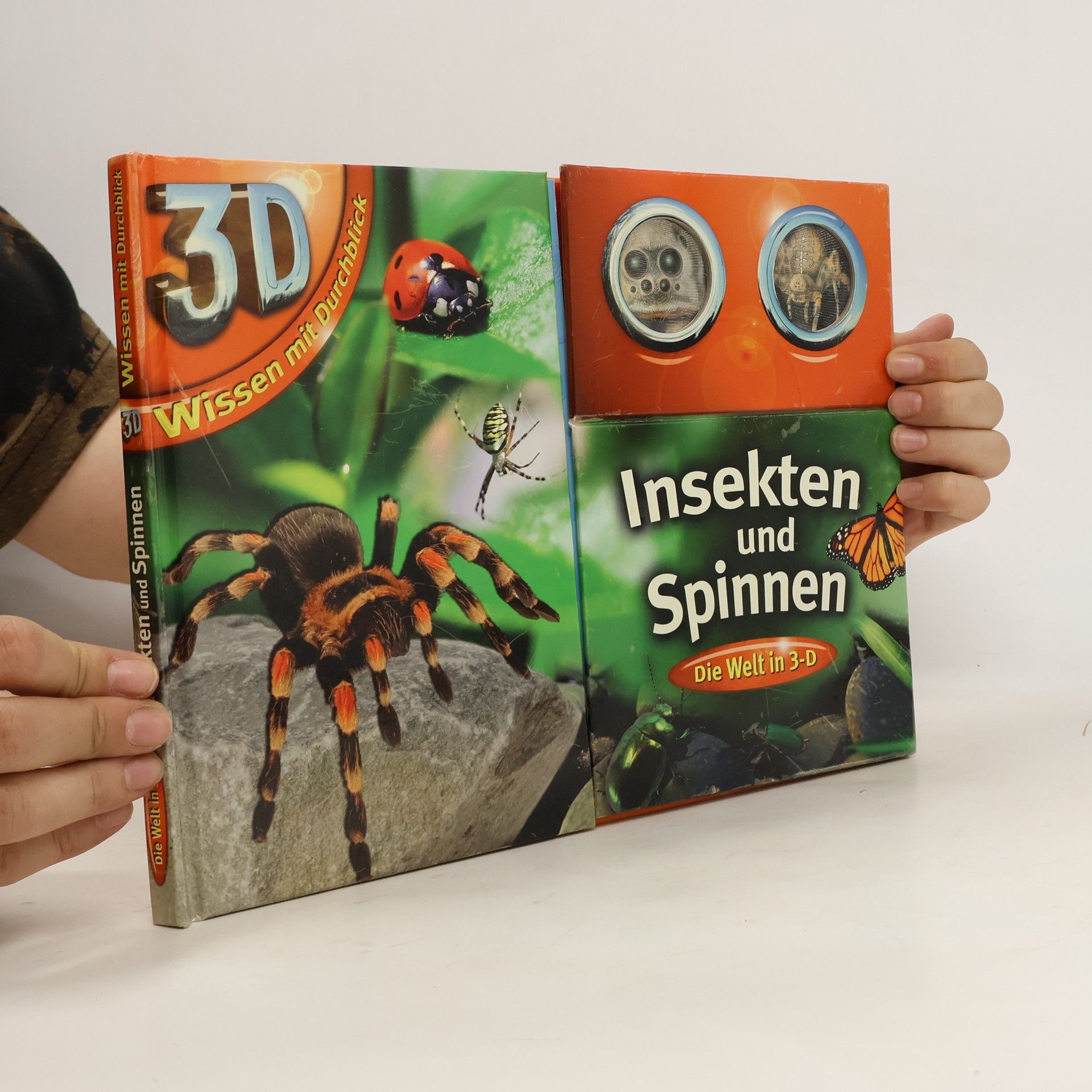 Autorenkollektiv Insekten und Spinnen: Die Welt in 3-D