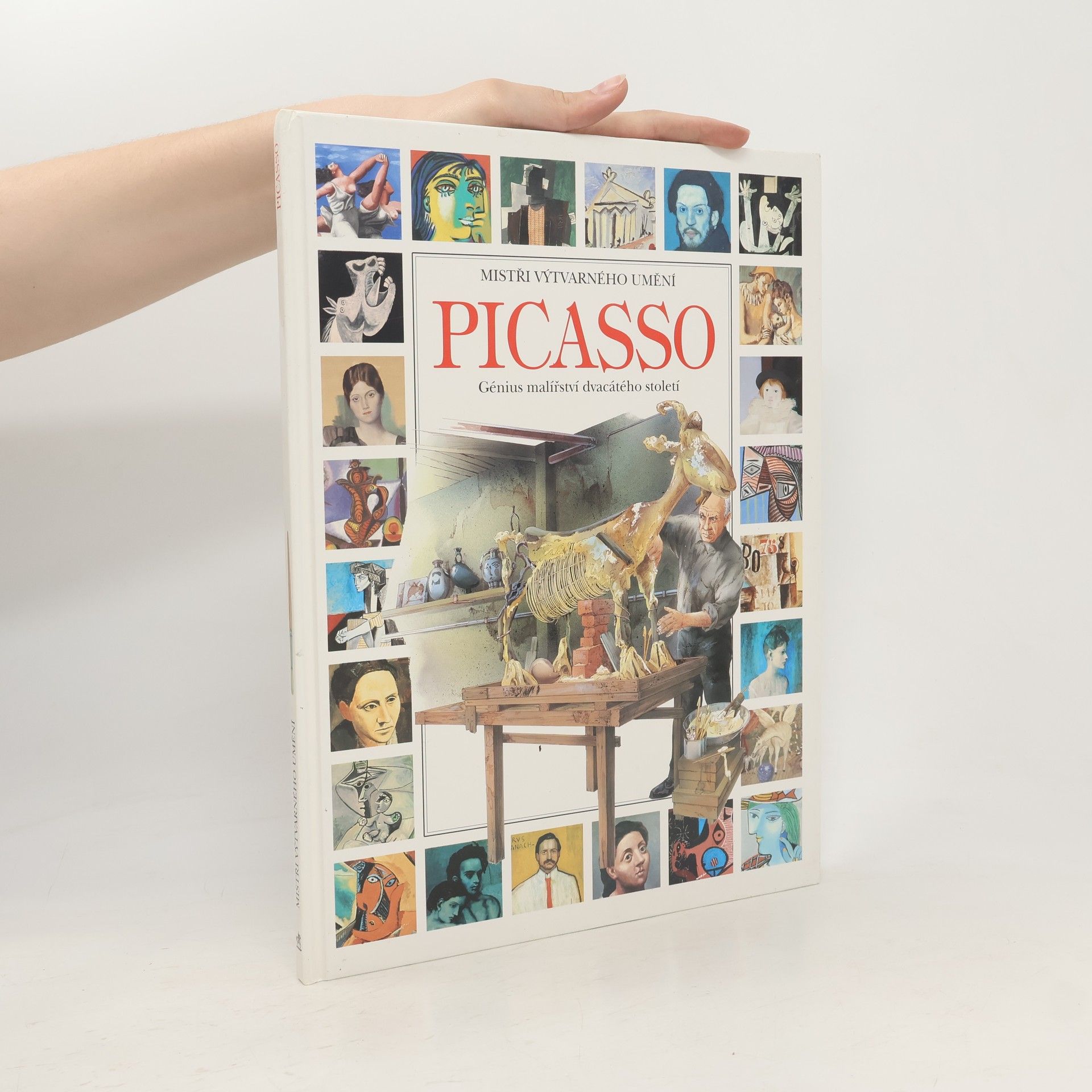 Collective Mistři výtvarného umění: Picasso