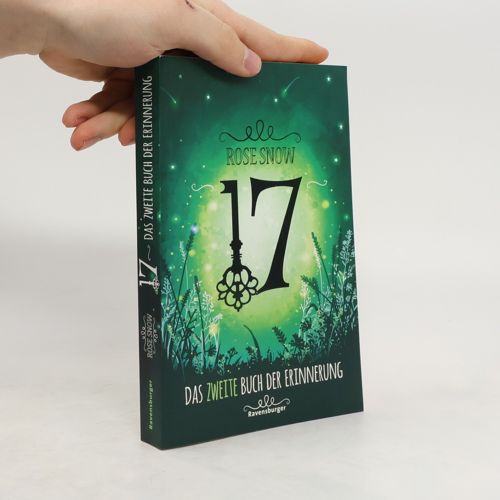 Rosie Snow 17 : Das zweite Buch der Erinnerung