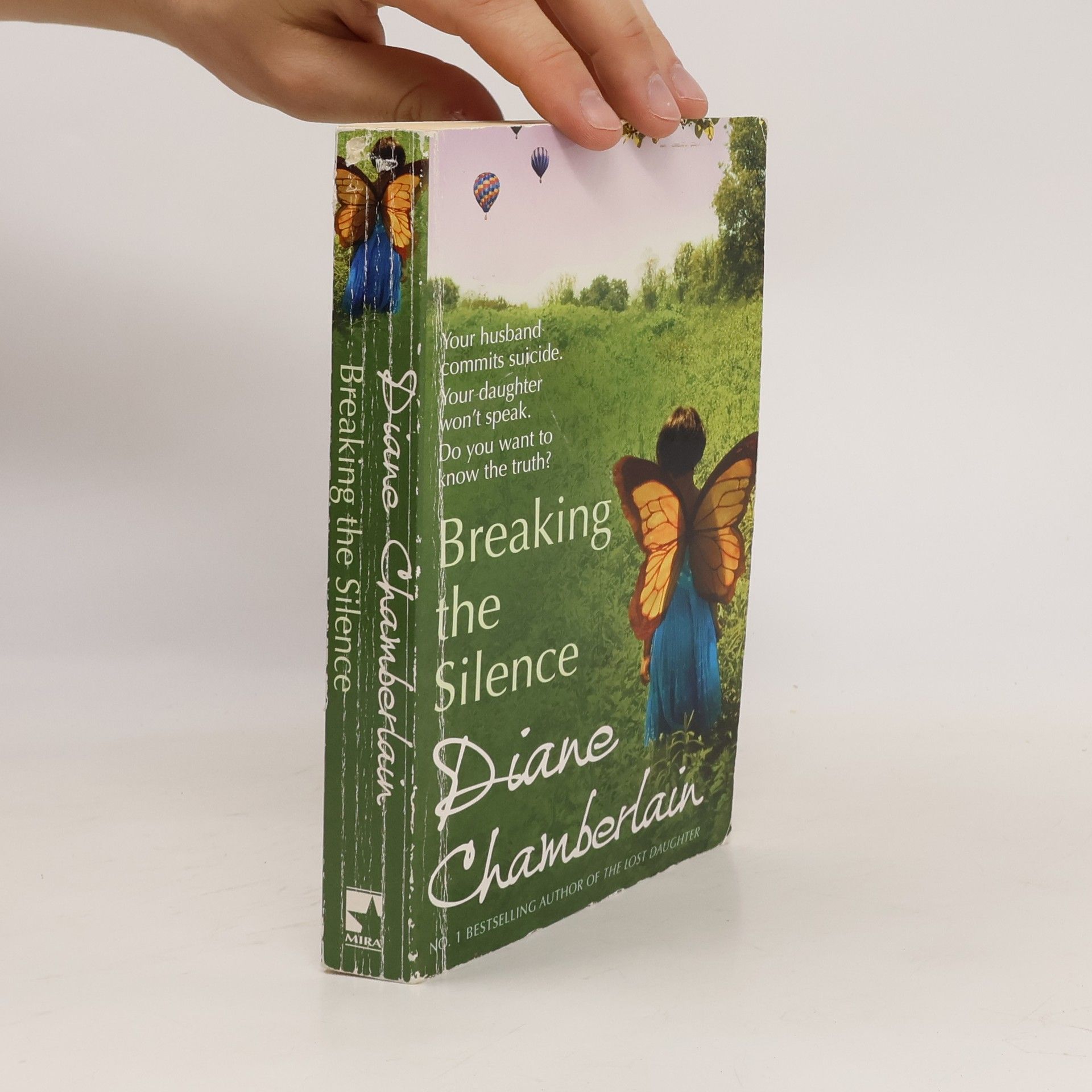 Diane Chamberlain Breaking the Silence