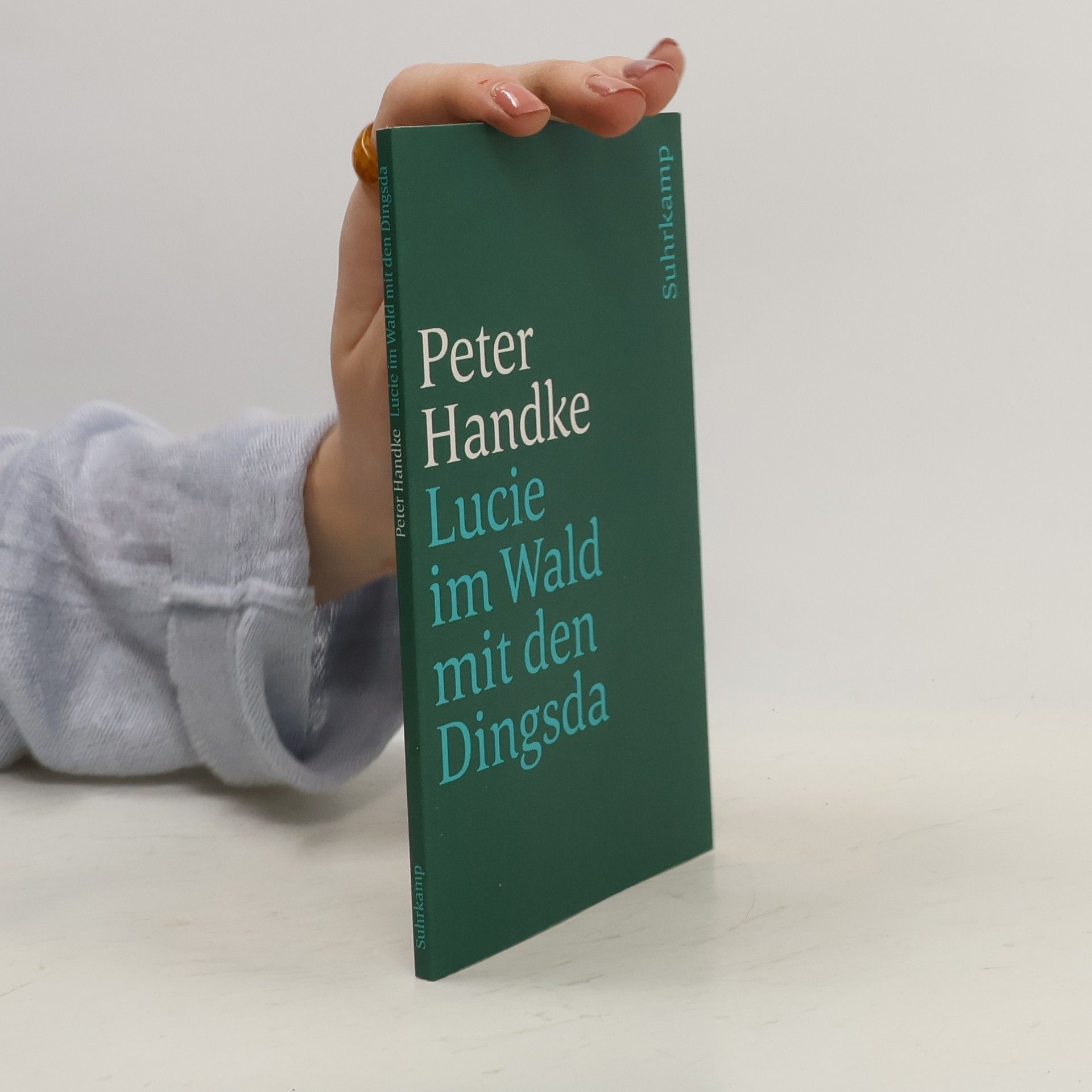 Peter Handke Lucie im Wald mit den Dingsda : eine Geschichte
