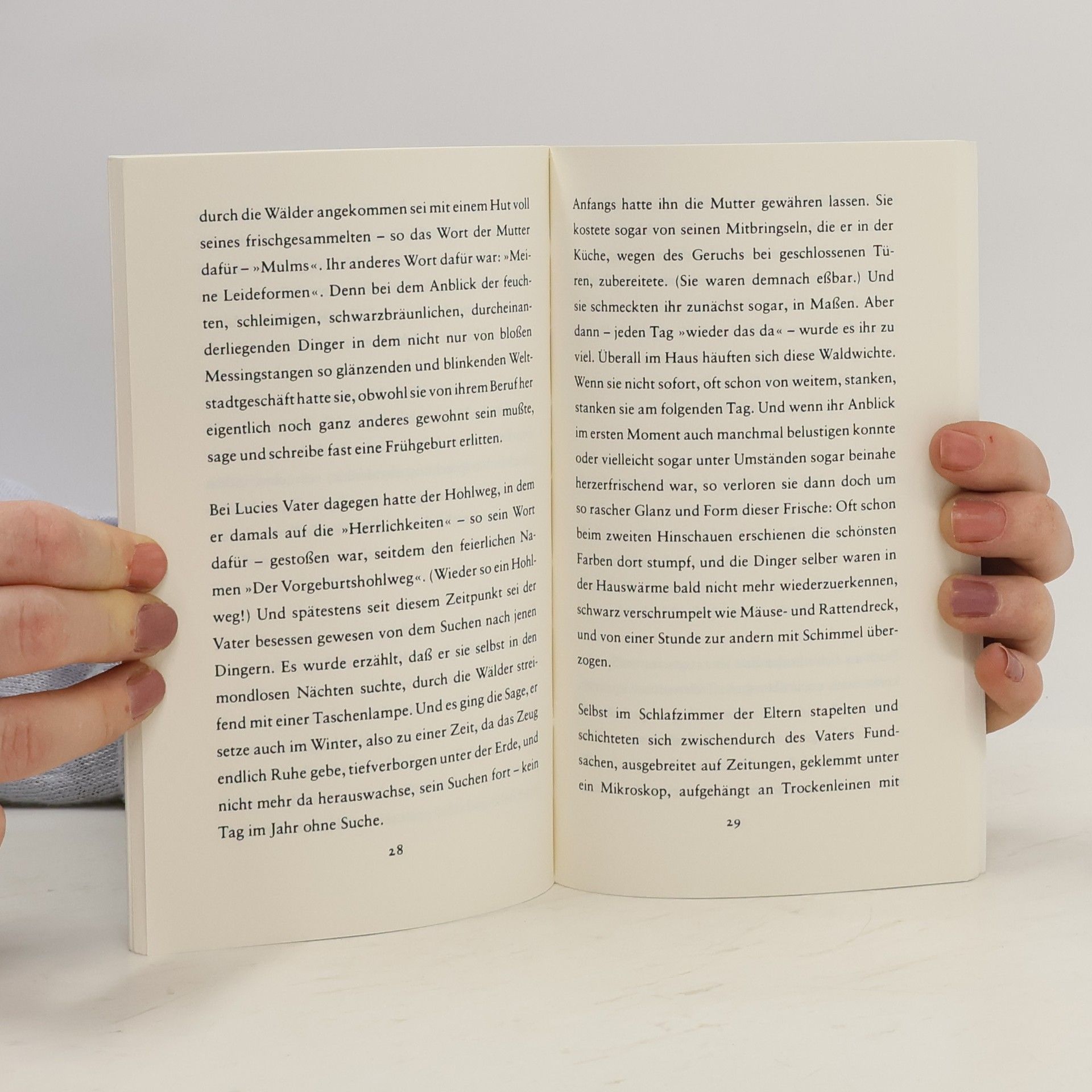 Peter Handke Lucie im Wald mit den Dingsda : eine Geschichte