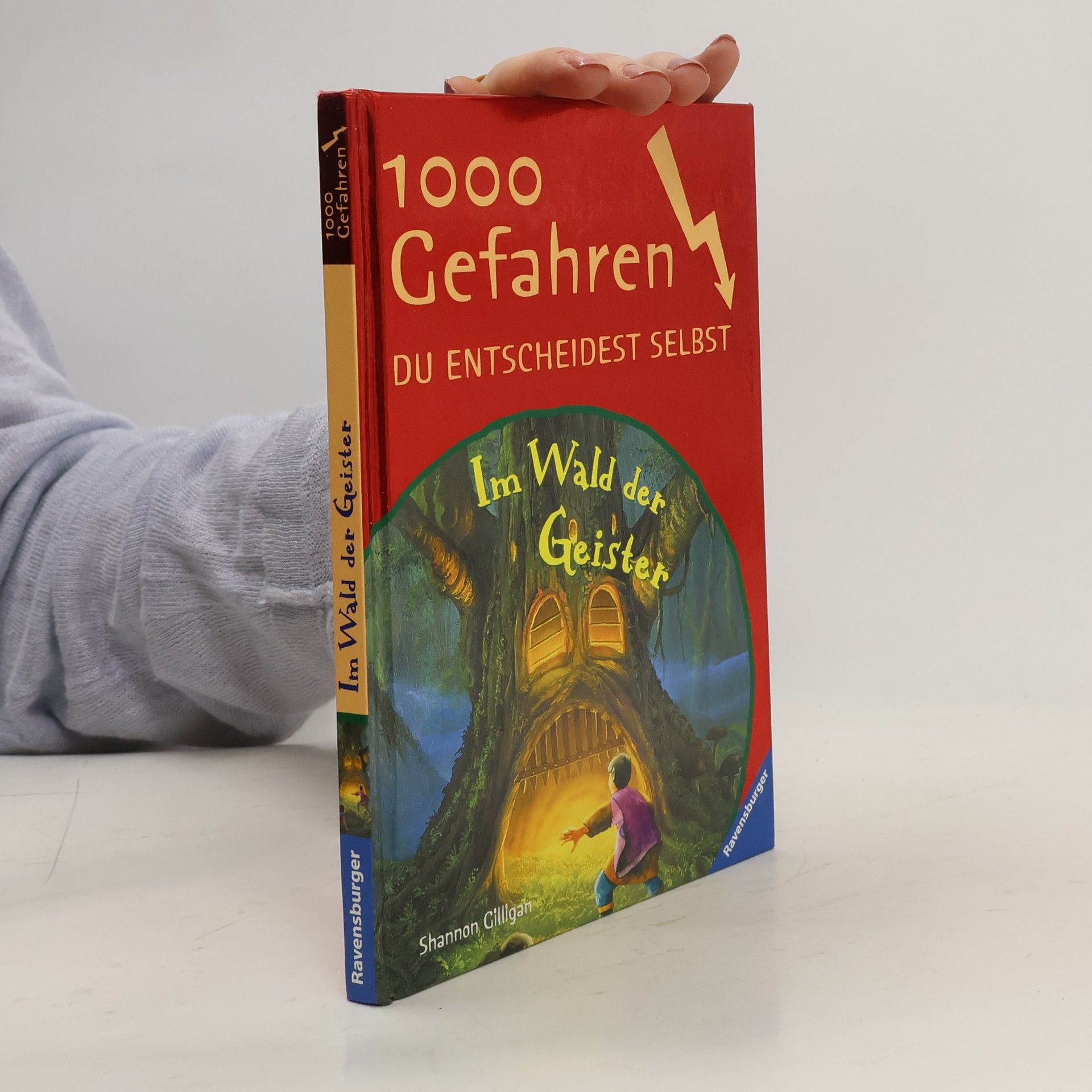 Shannon Gilligan Im Wald der Geister