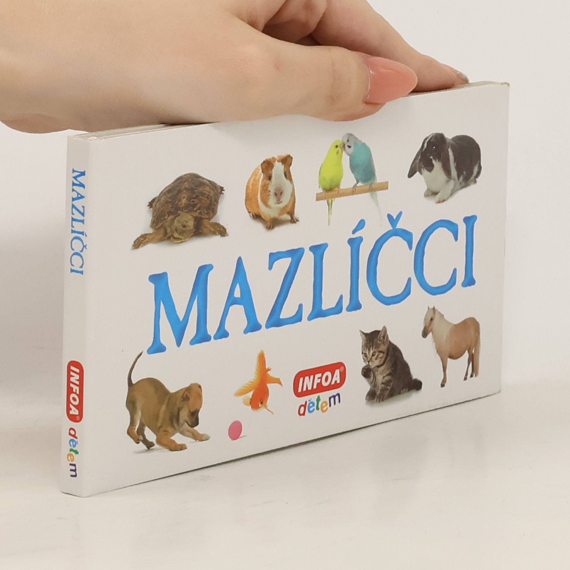 Collectif d'auteurs Mazlíčci - skládanka