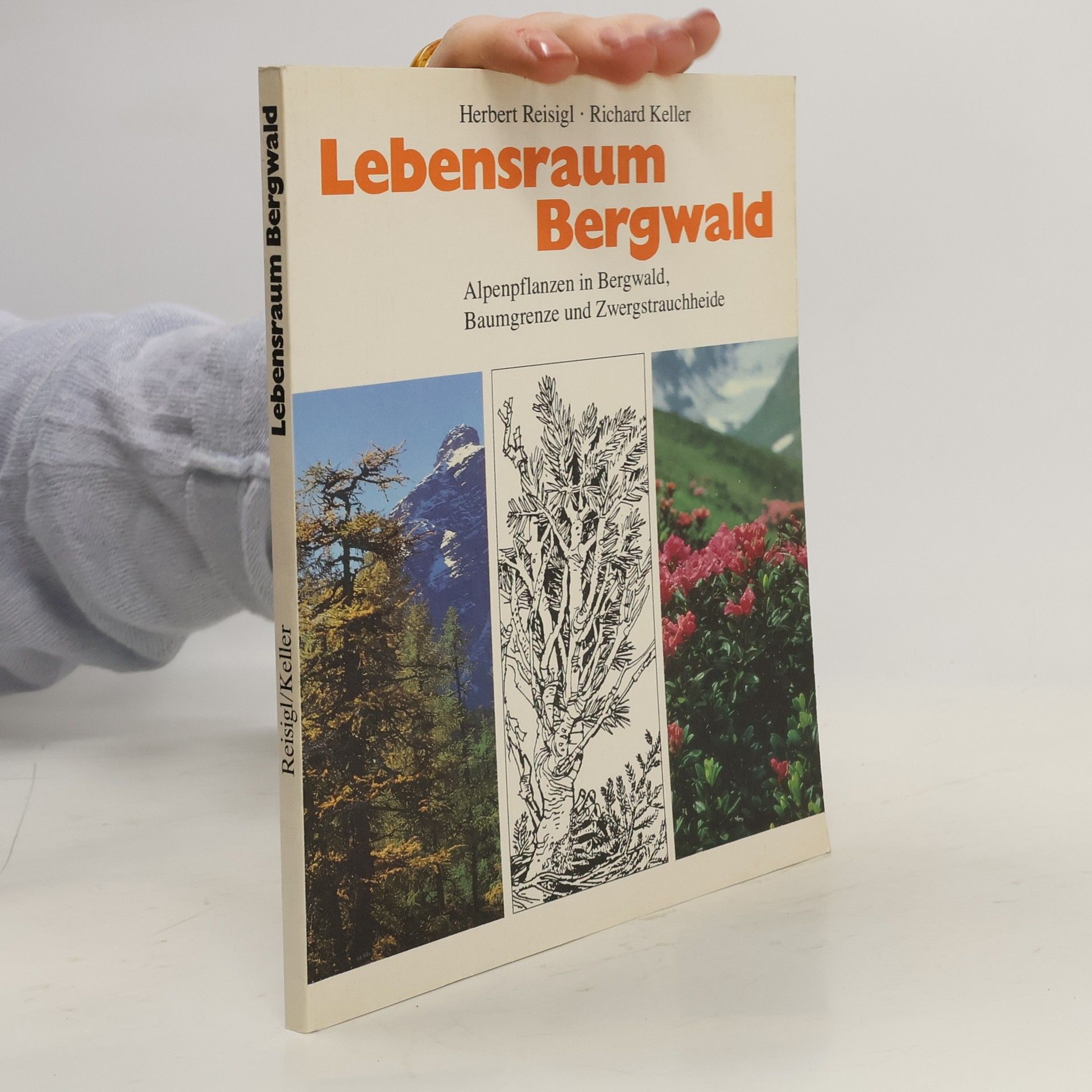 Herbert Reisigl Lebensraum Bergwald