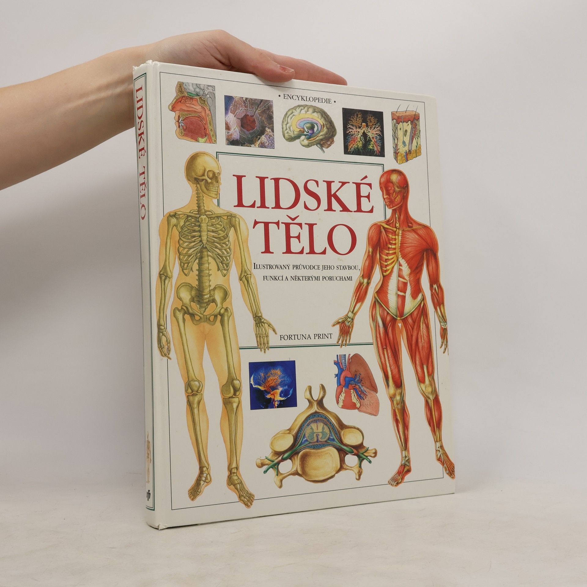 Ivan Fales Lidské tělo. Ilustrovaný průvodce jeho stavbou, funkcí a některými poruchami