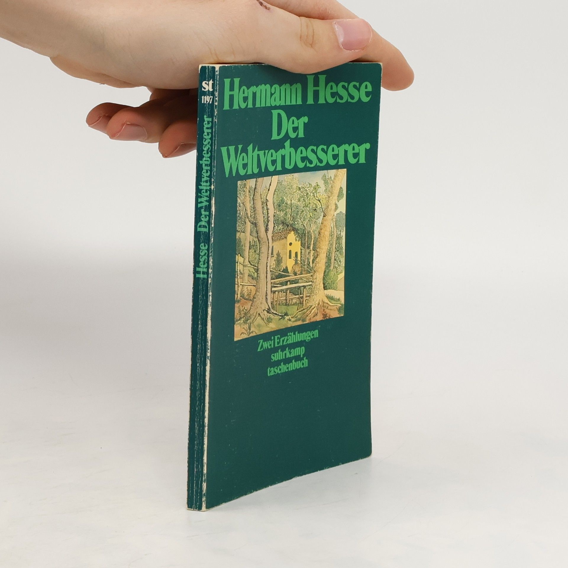 Hermann Hesse Der Weltverbesserer und Doktor Knölges Ende