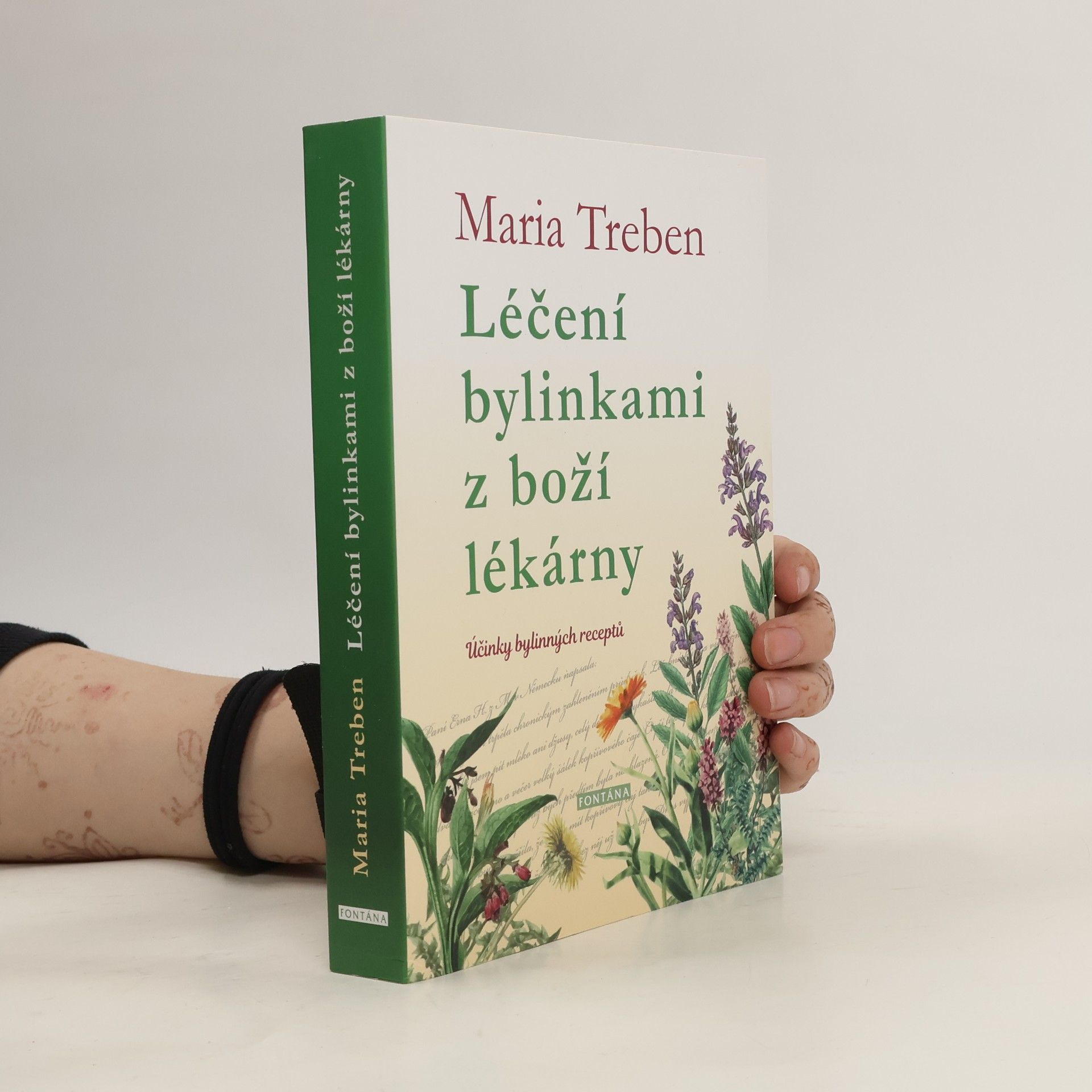 Maria Treben Léčení bylinkami z boží lékárny. Účinky bylinných receptů