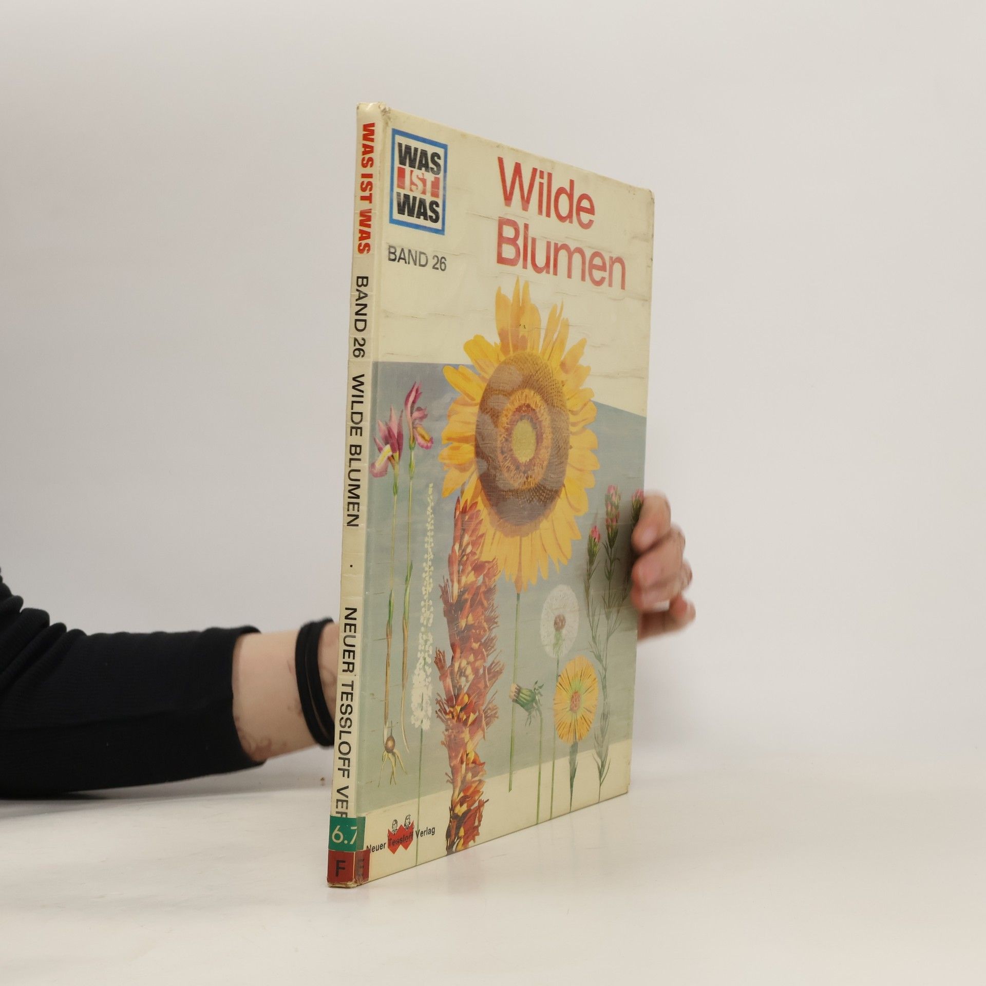 kolektiv Wilde Blumen. Band 26