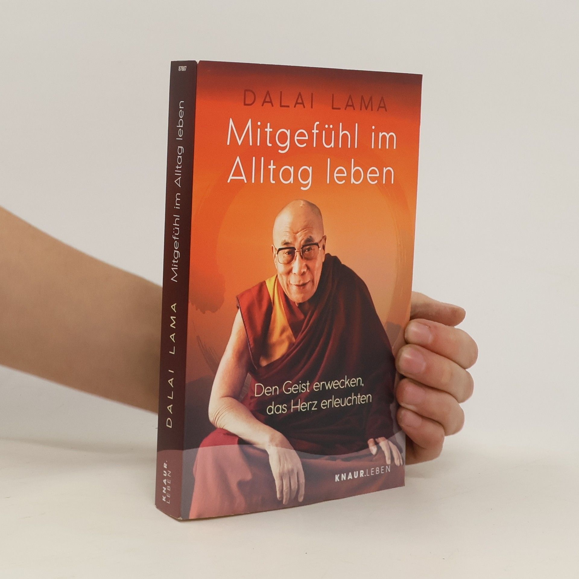 Lama Dalai Mitgefühl im Alltag leben