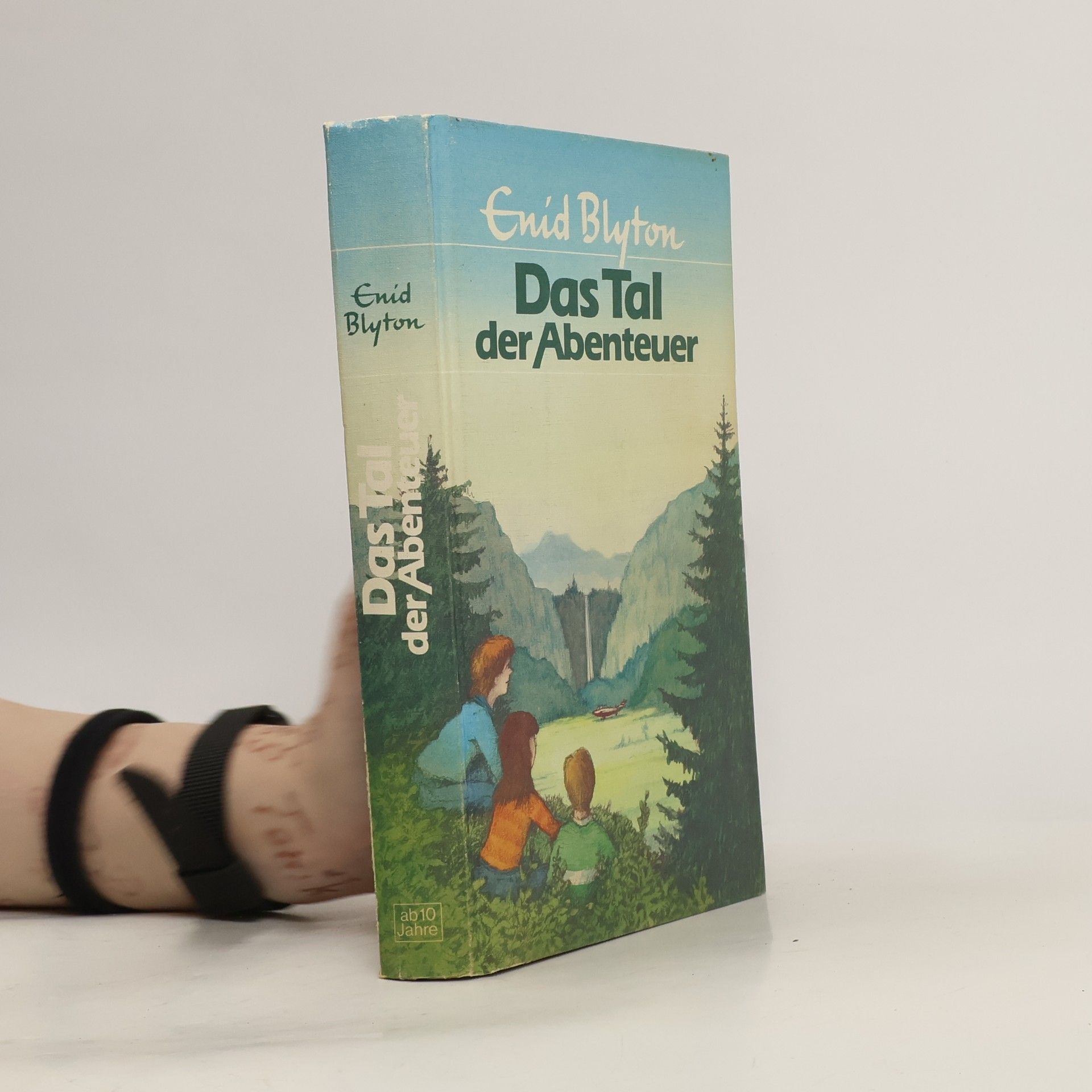 Enid Blyton Das Tal der Abenteuer