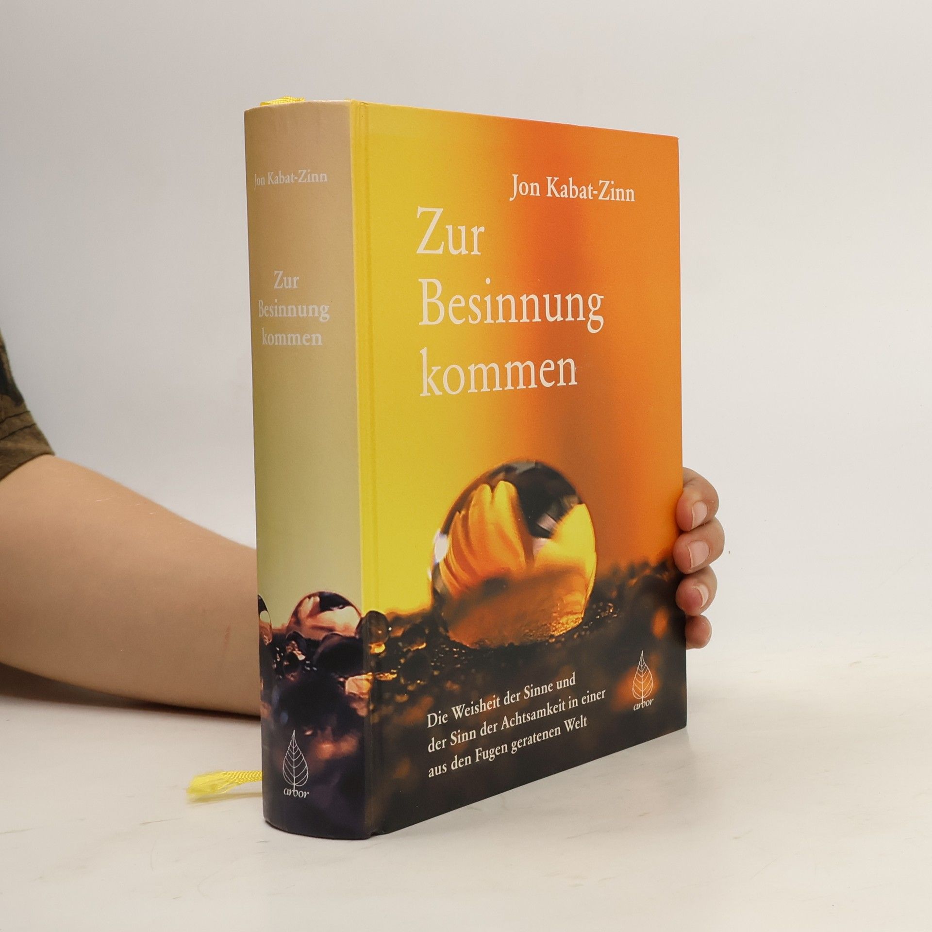 Jon Kabat-Zinn Zur Besinnung kommen