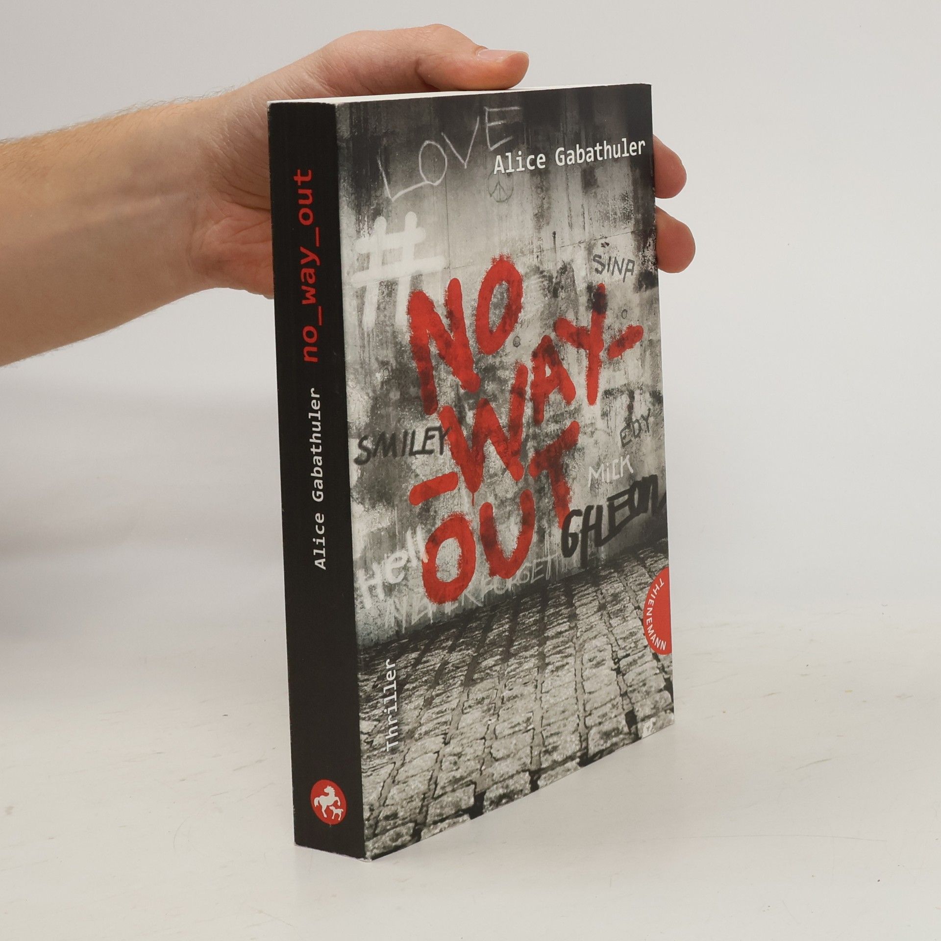 Alice Gabathuler No_way_out