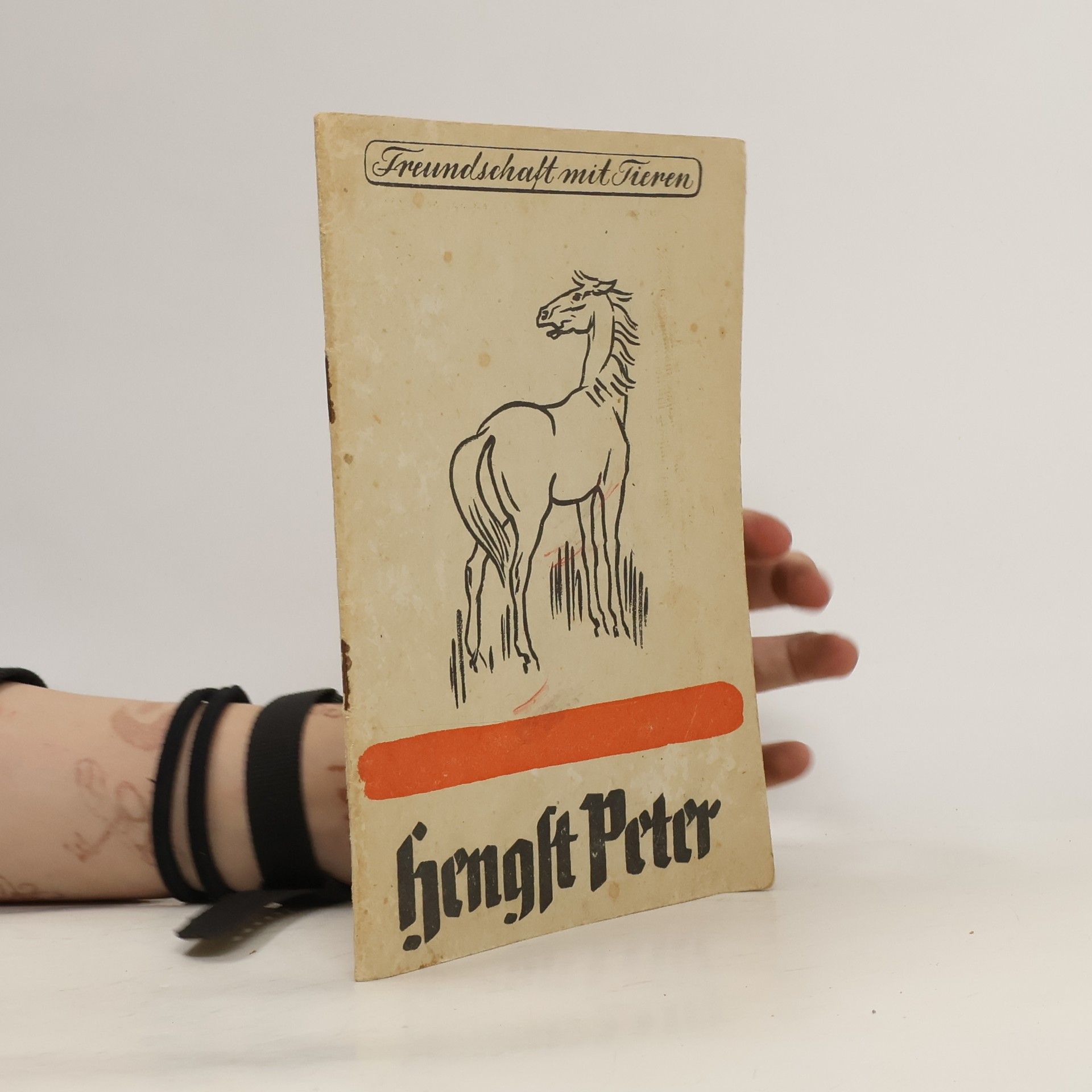 Jochim Dreetz Hengst Peter. Pferdegeschichten