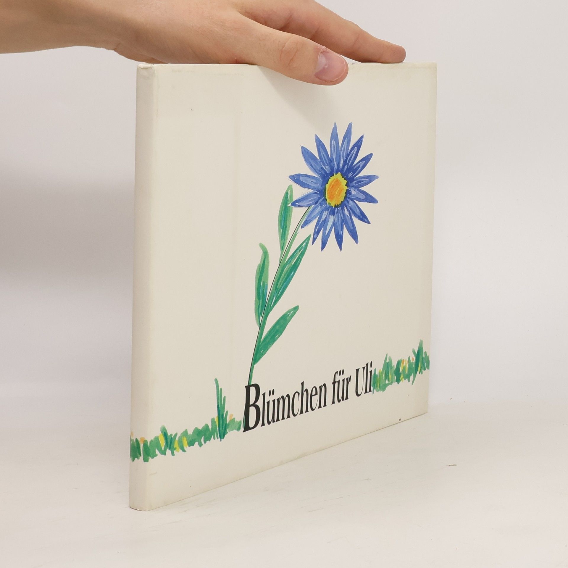 Kolektiv autorů Blümchen für Uli
