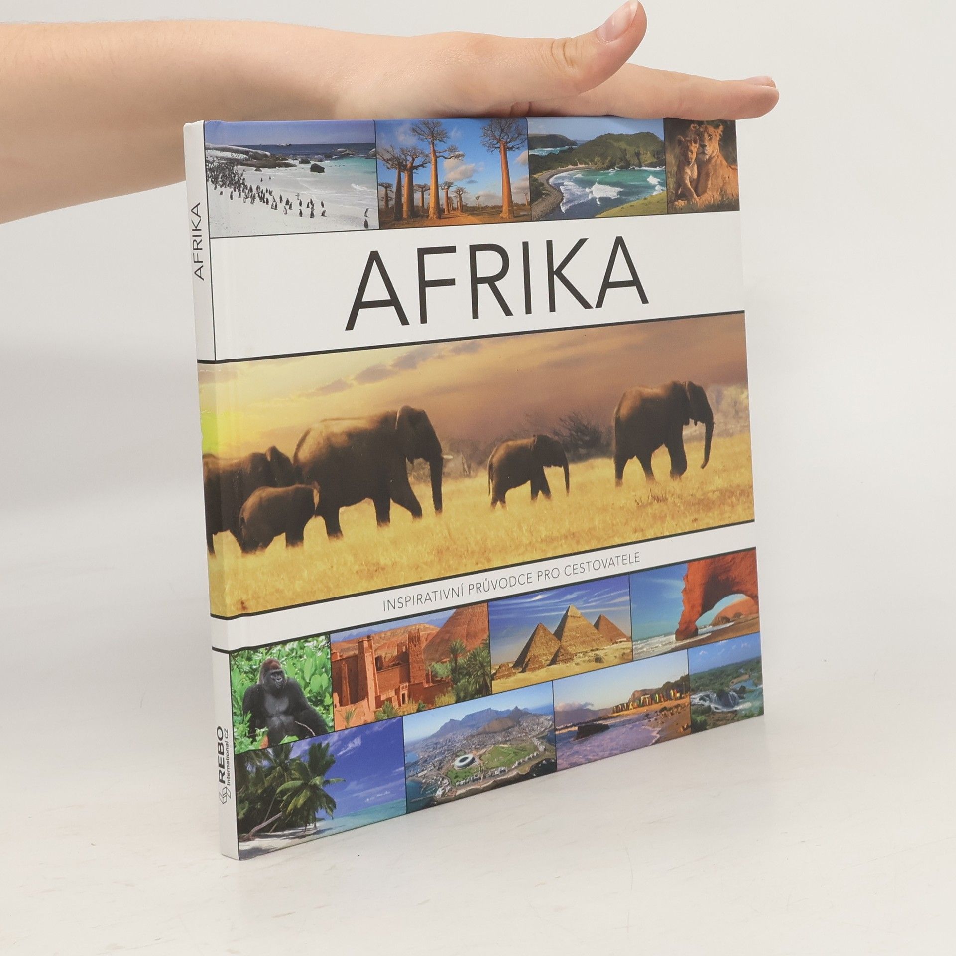 Joyce Koster Afrika