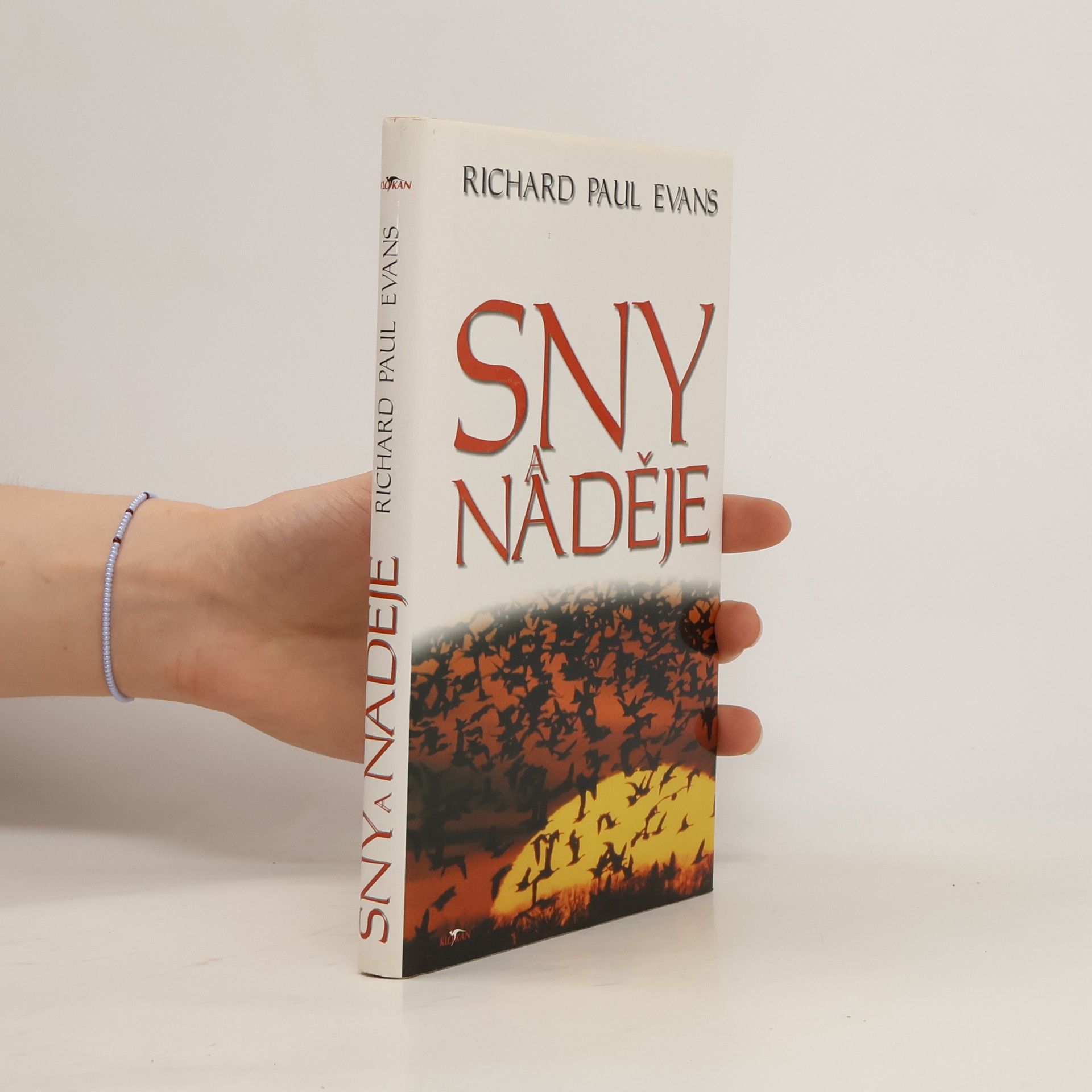 Richard Paul Evans Sny a naděje