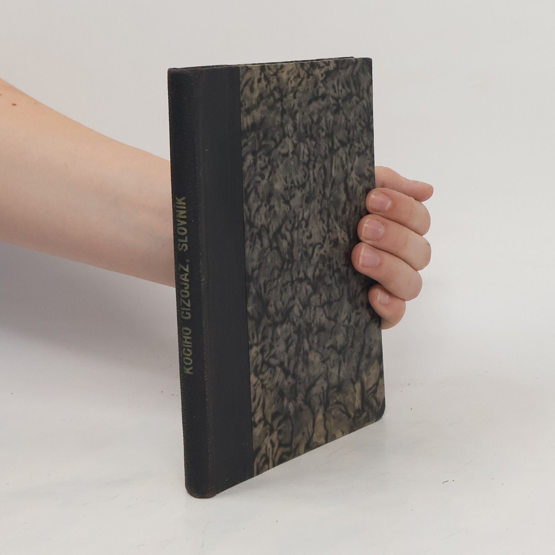 Bohumil Kočí Cizojazyčný slovník