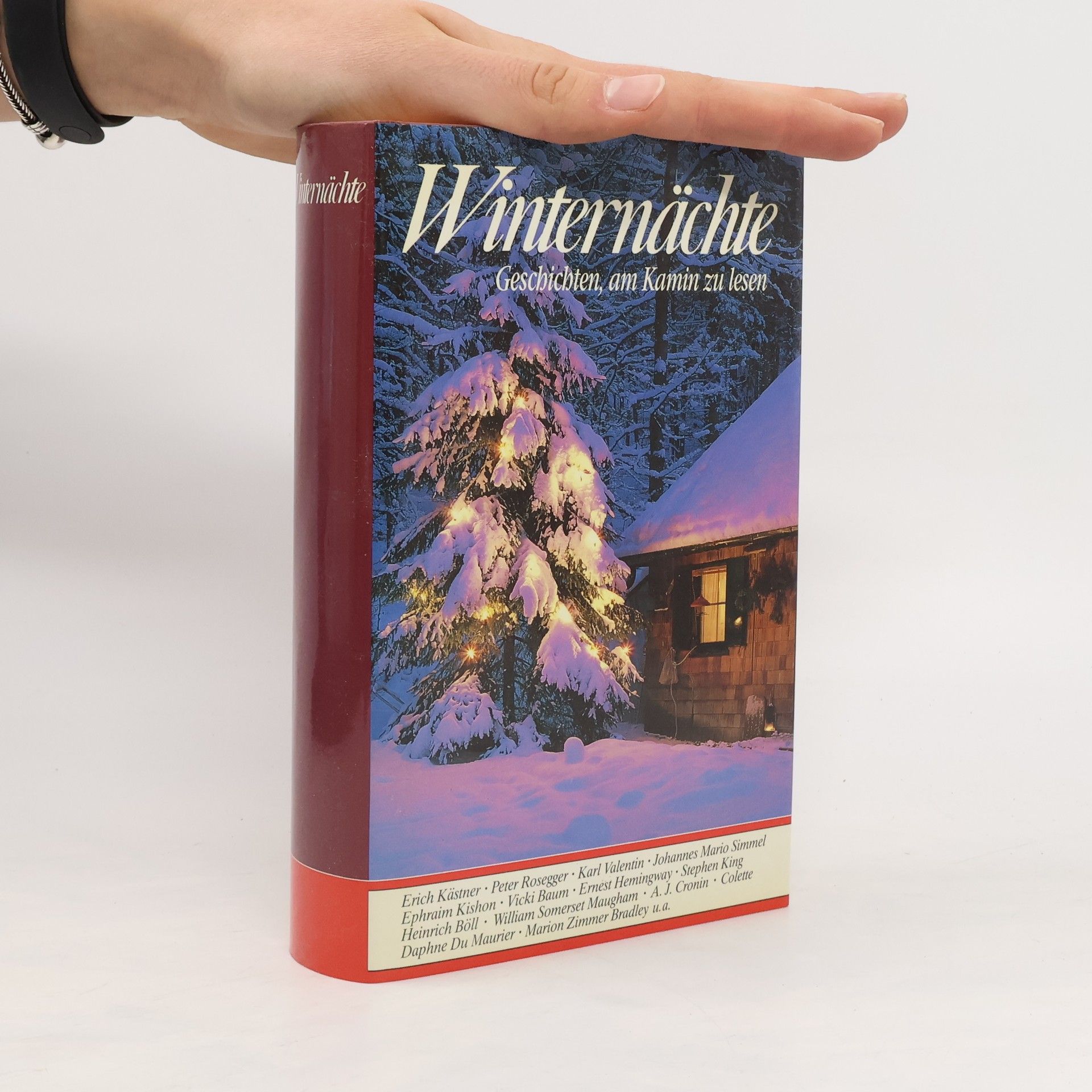 Ilse Walter Winternächte: Geschichten, am Kamin zu lesen