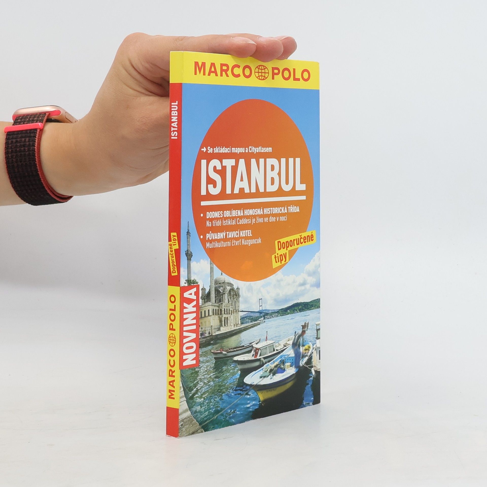 Dilek Zaptçıoğlu Istanbul