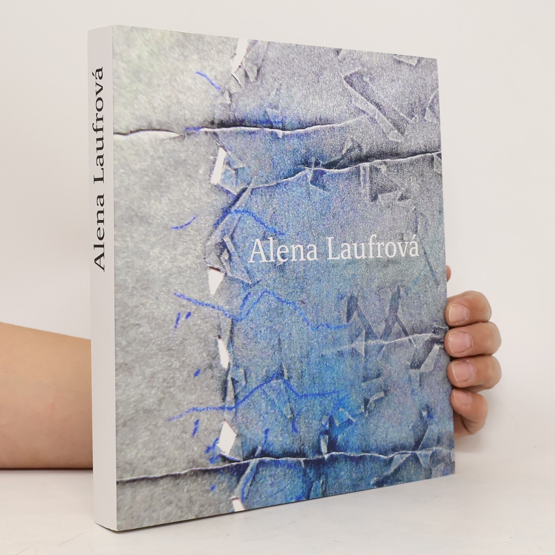 Alena Laufrová Malé ohlédnutí