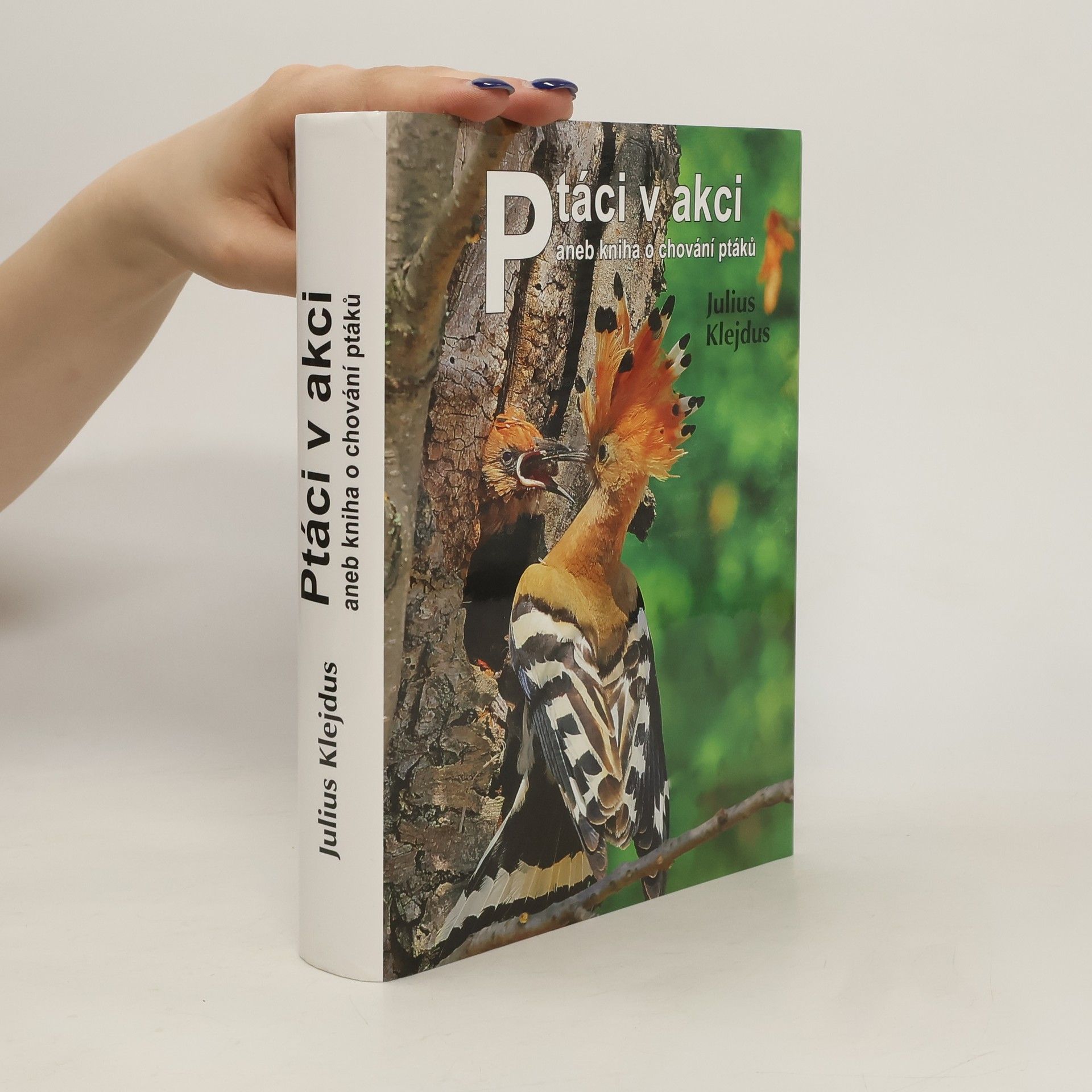 Julius Klejdus Ptáci v akci