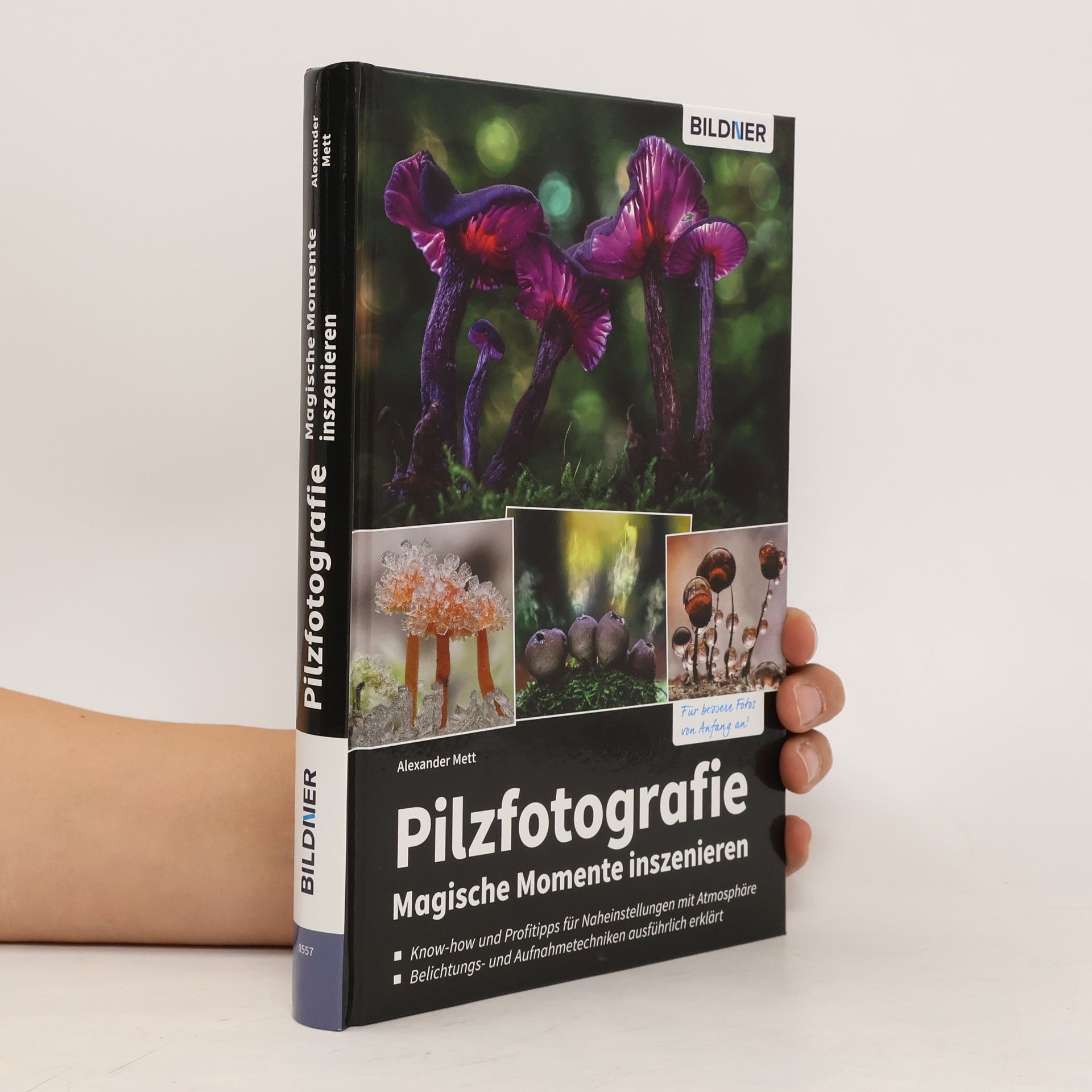 Alexander Mette Pilzfotografie - Magische Momente inszenieren