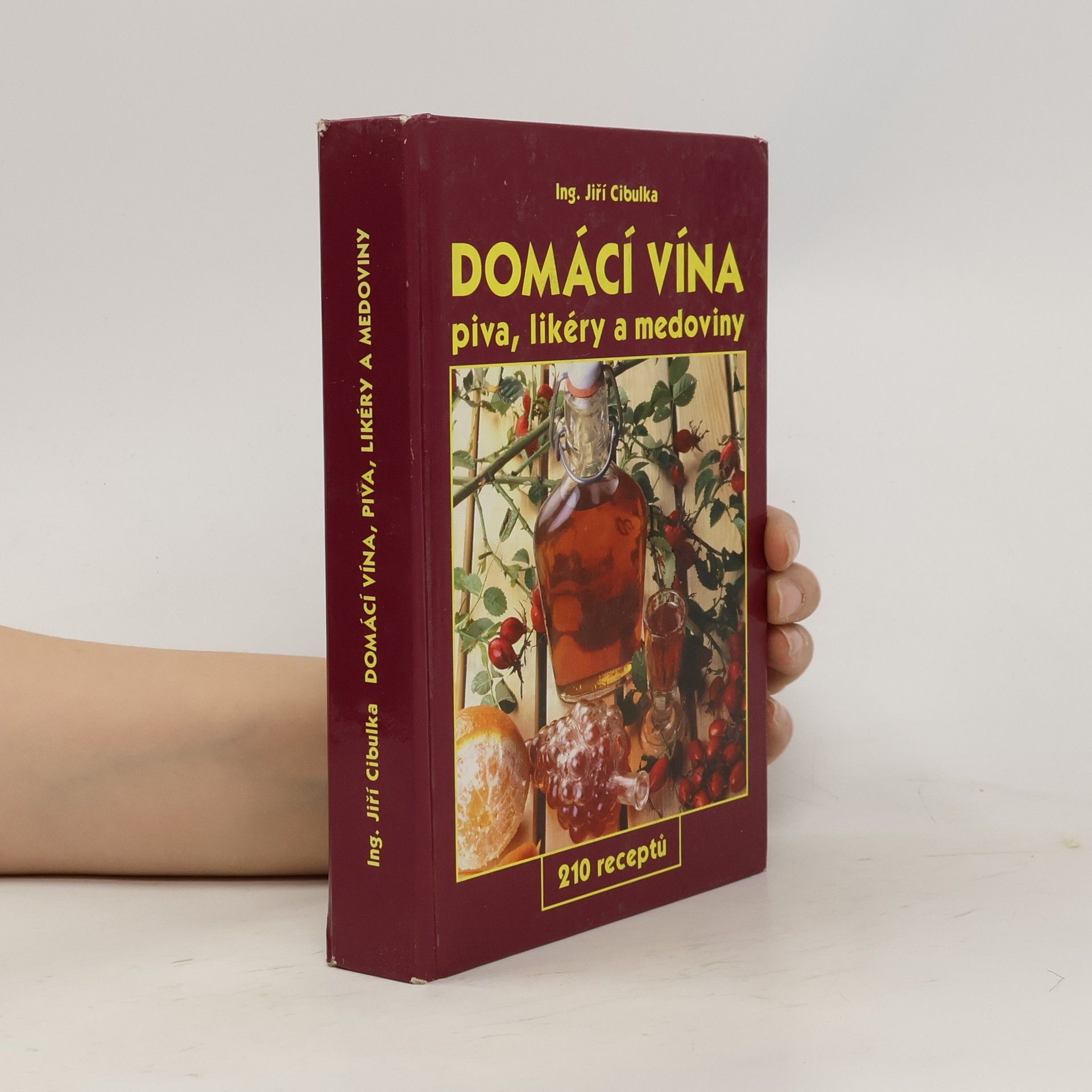 Jiří Cibulka Domácí vína: Piva, likéry a medoviny