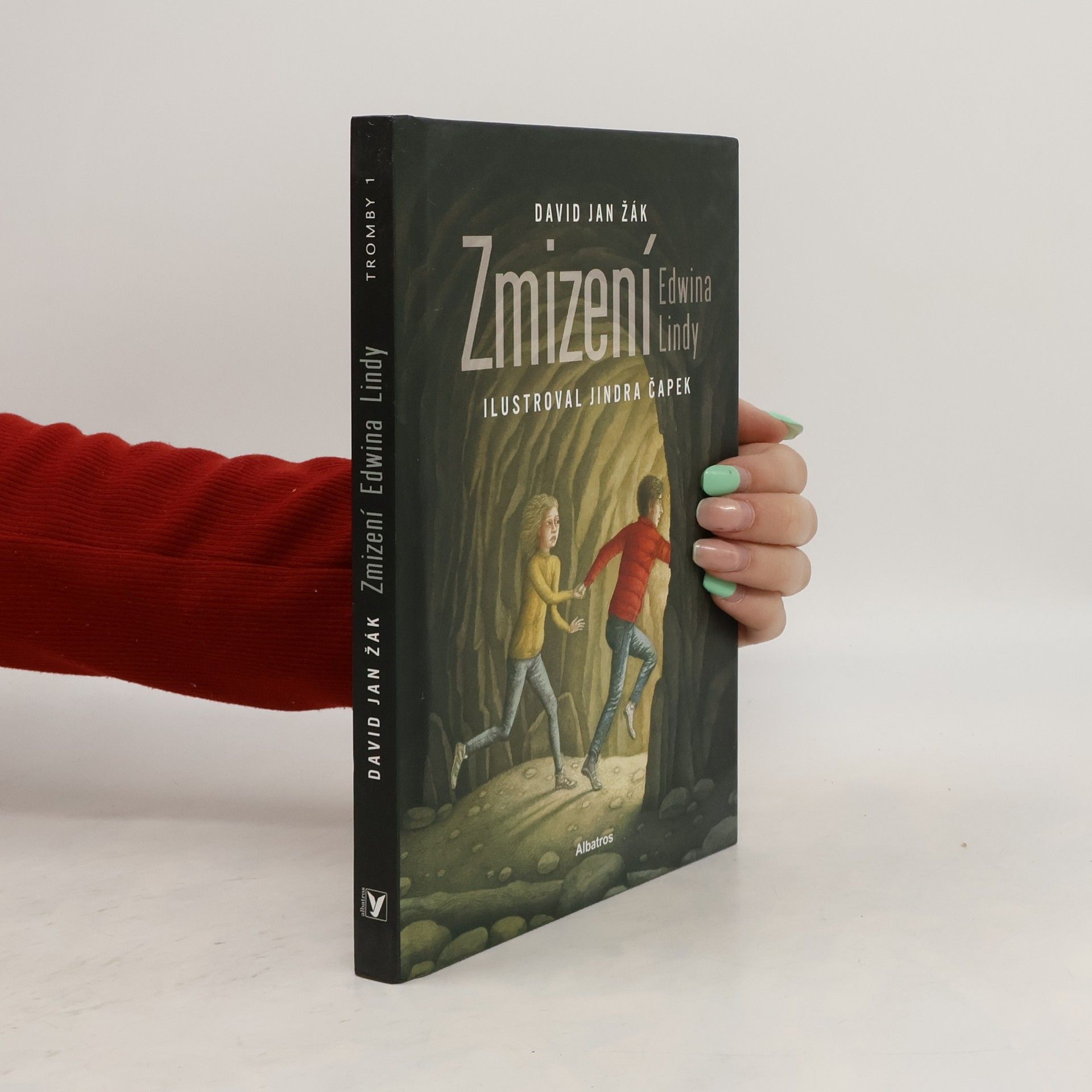 David Jan Žák Zmizení Edwina Lindy